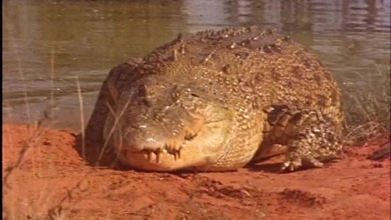 Life In Broome 1989 movie scene