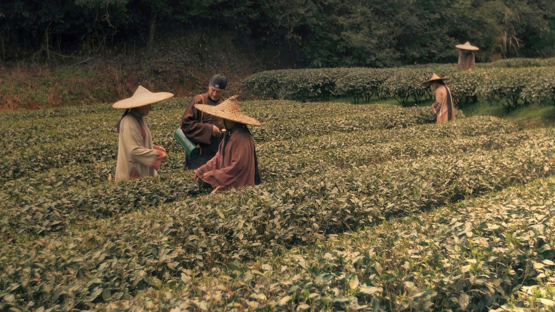 Tea War: The Adventures of Robert Fortune 2016 movie scene