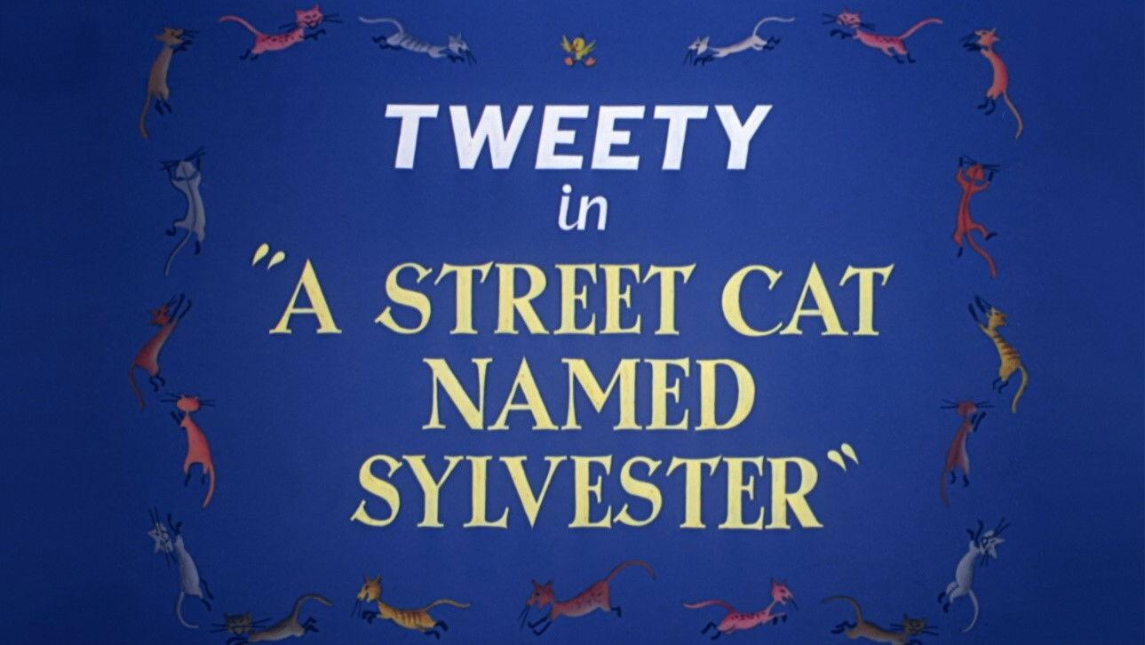 A Street Cat Named Sylvester 1953 movie scene