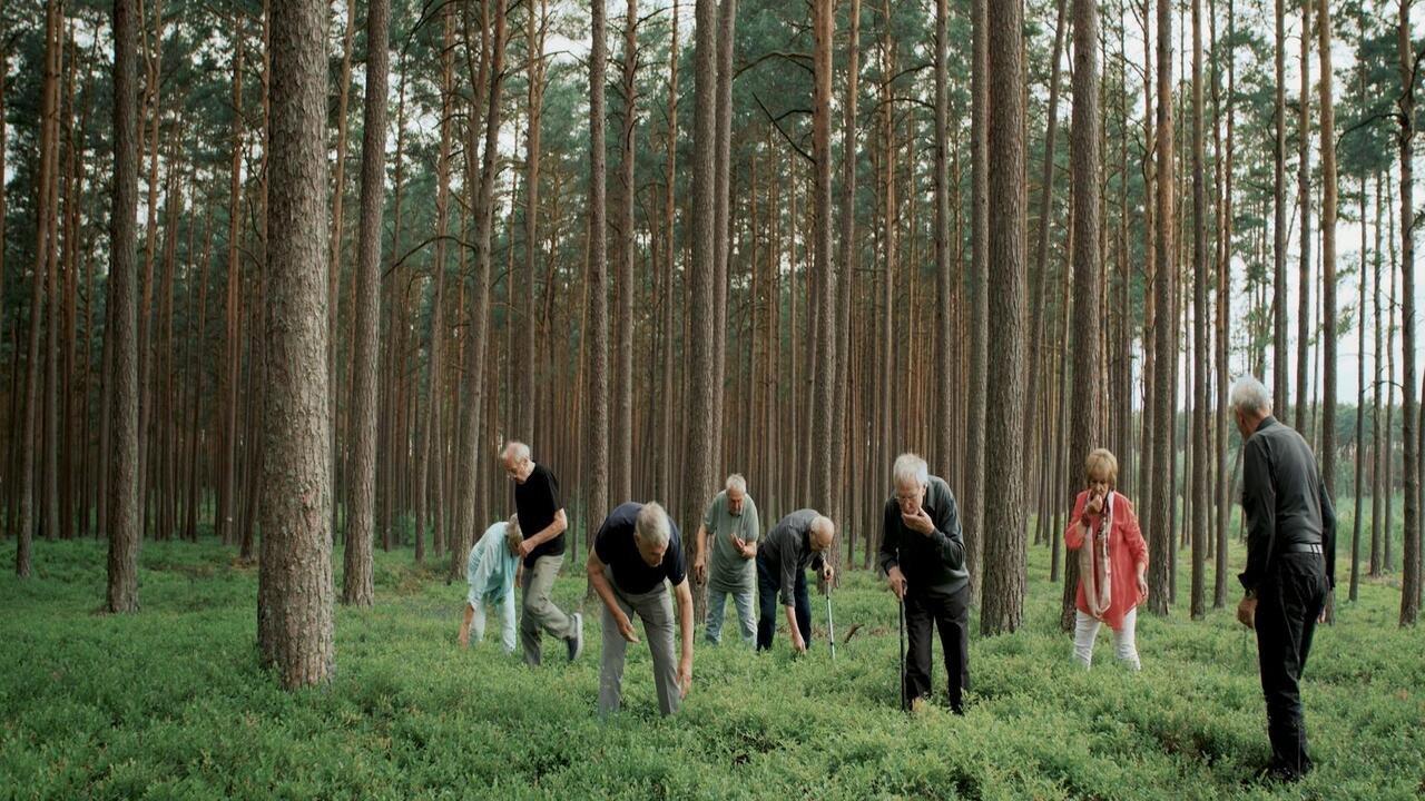 Eight Brothers and Sisters 2023 movie scene