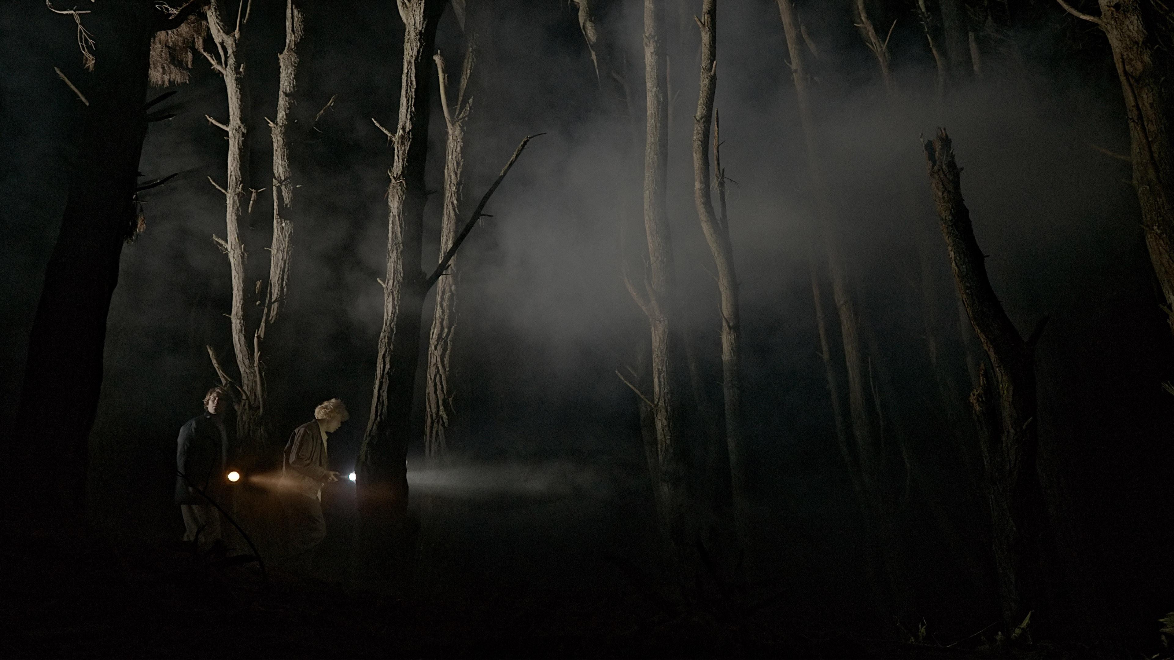The Weta  movie scene