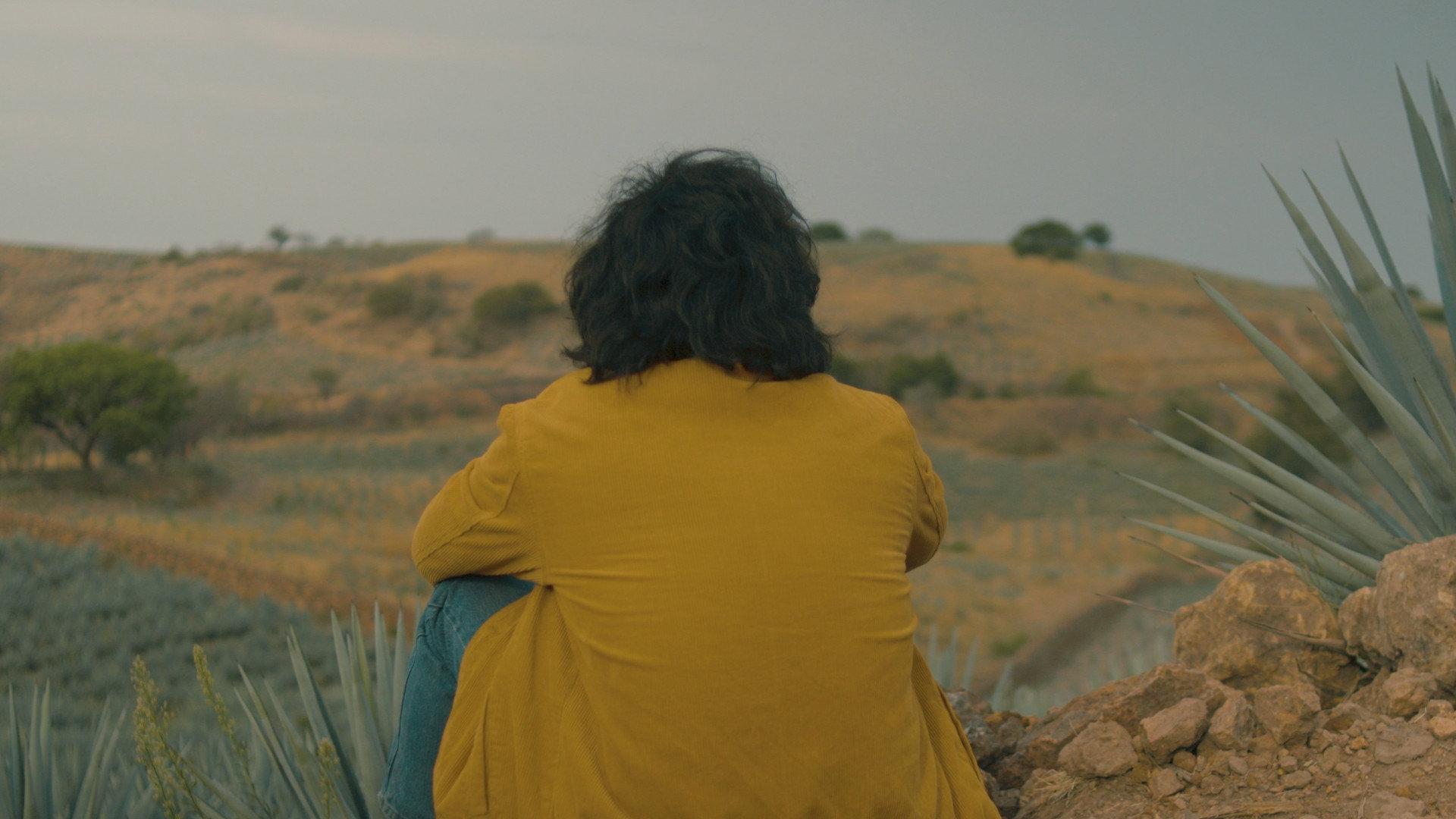 Agave Echoes 2024 movie scene