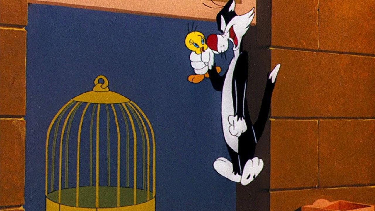 Canary Row 1950 movie scene