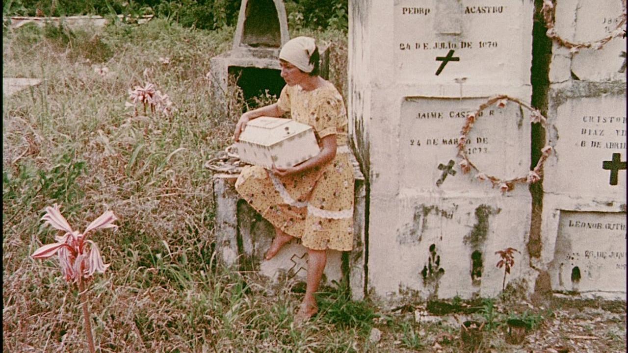 La Hamaca 1975 movie scene