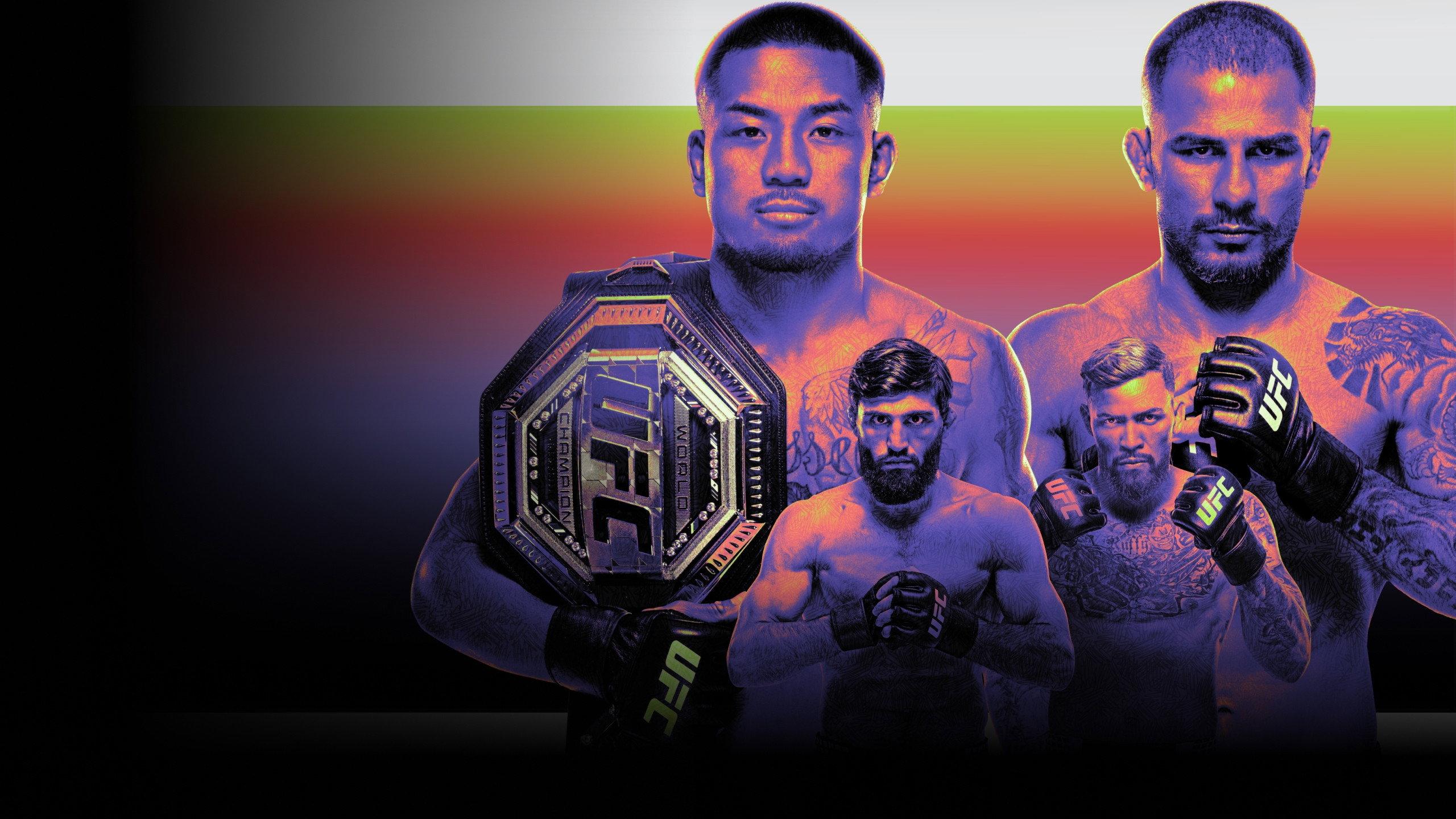 UFC 331: Van vs. Pantoja 2 2026 movie scene