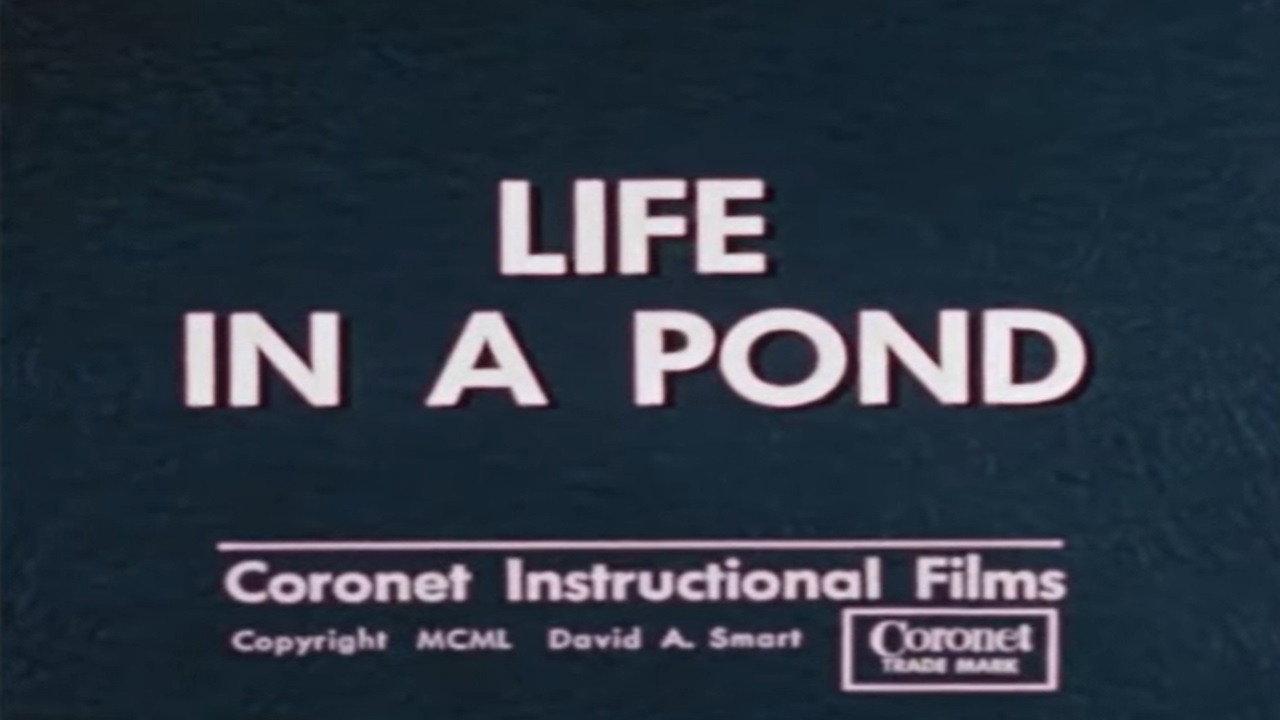 Life in a Pond 1949 movie scene