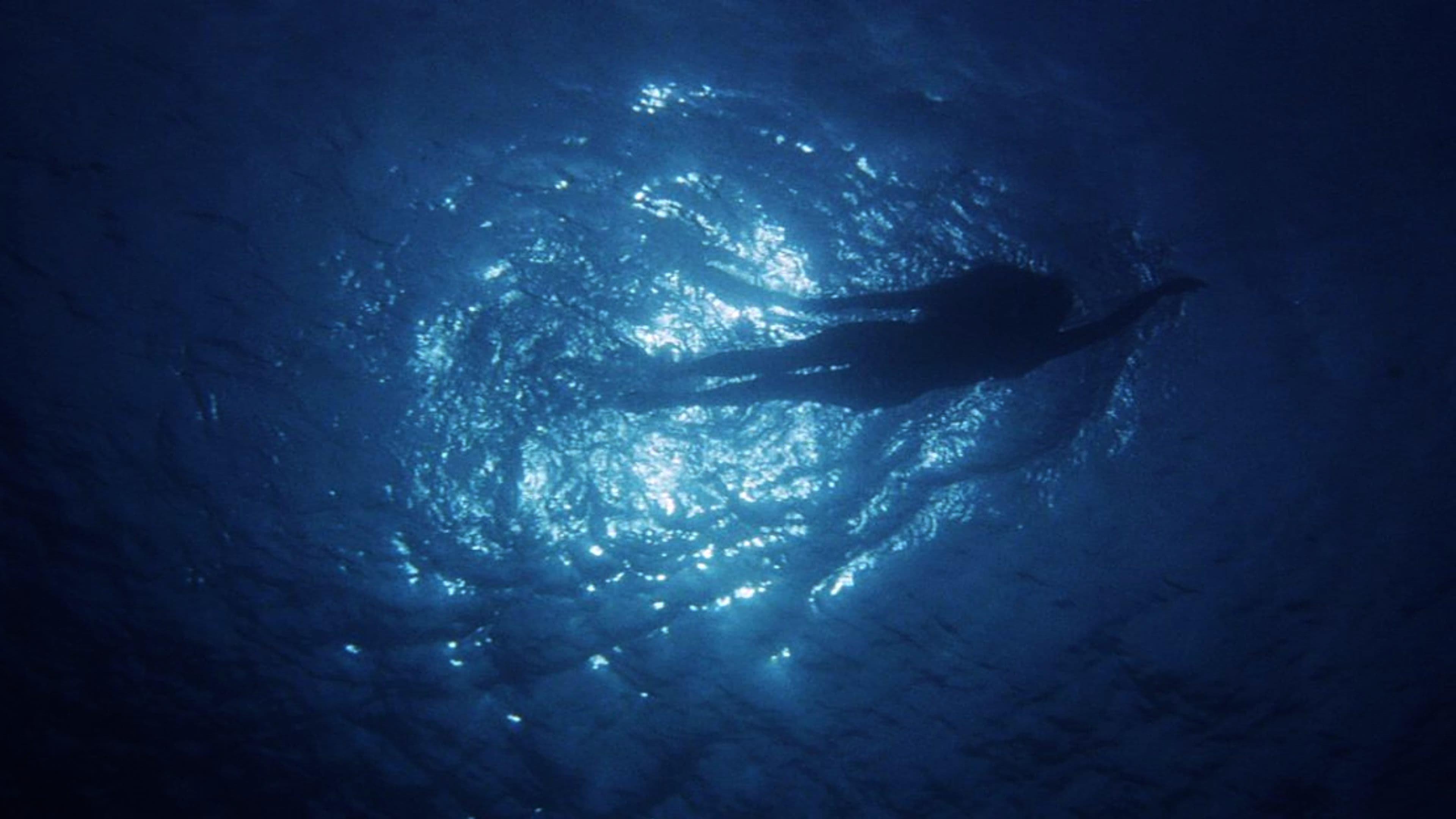 Jaws, a Monstrous Success 2024 movie scene