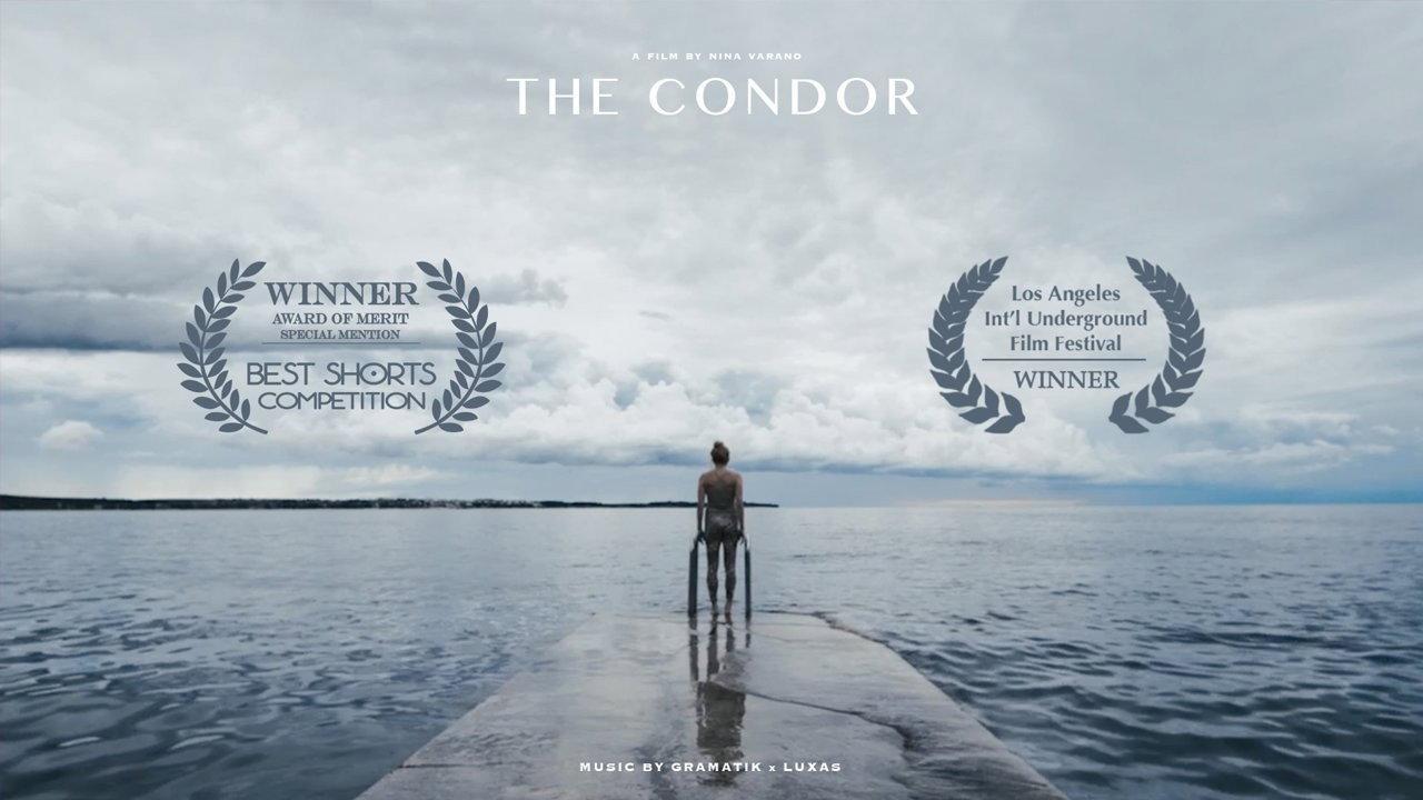 The Condor 2015 movie scene