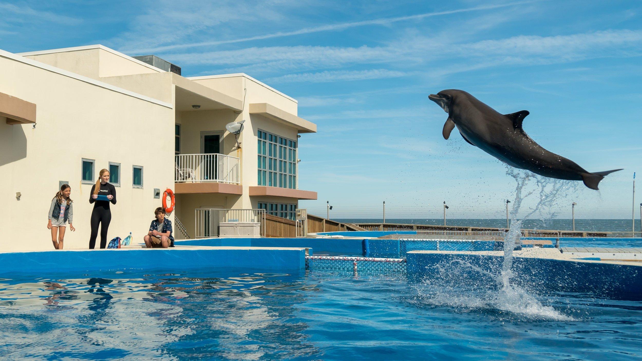 Bernie the Dolphin 2018 movie scene
