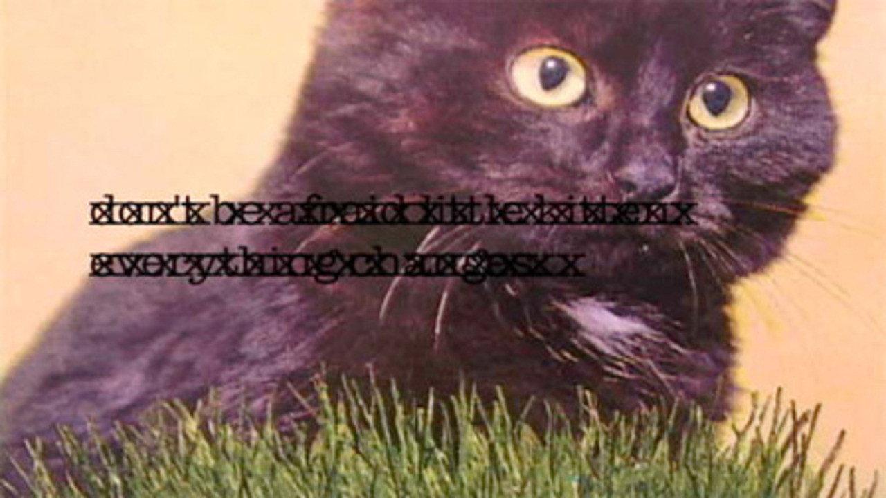 Little Kitten movie scene