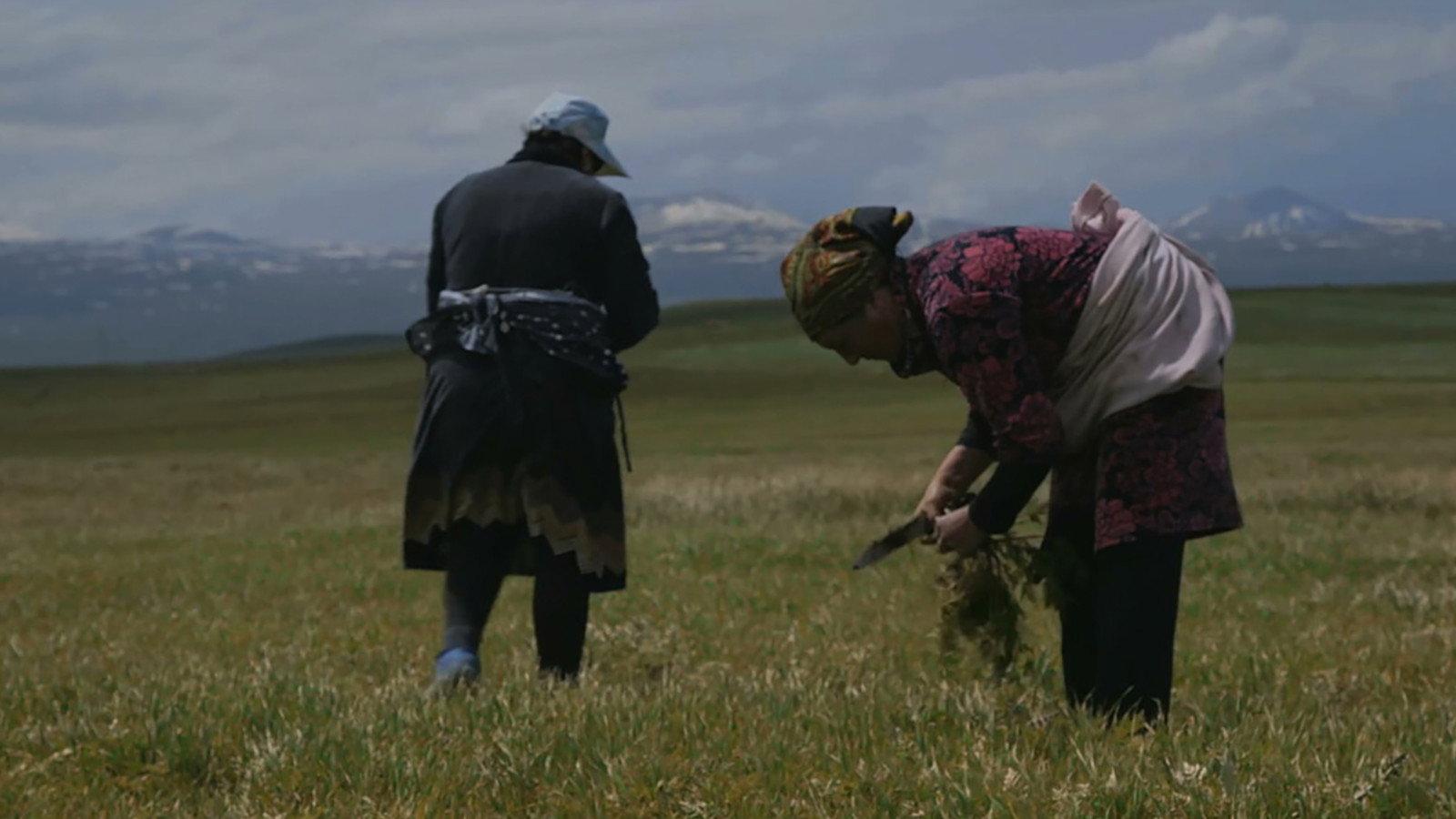 Village of Women 2019 movie scene