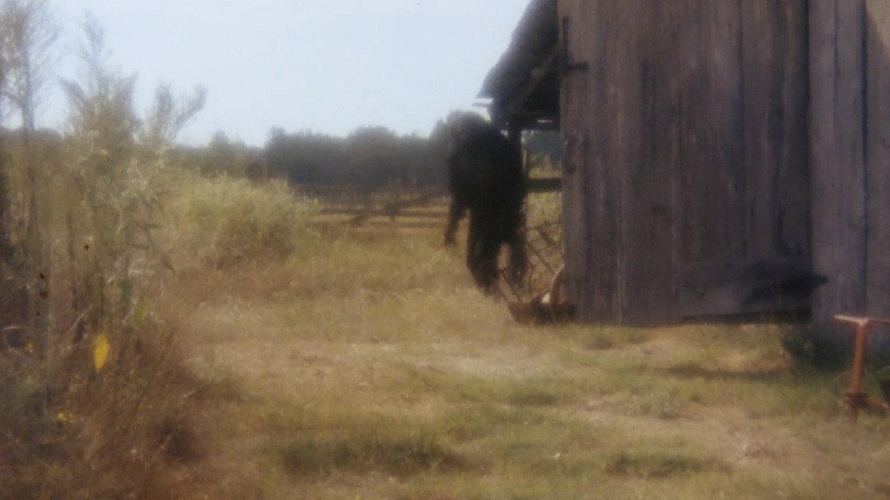 Boggy Creek II: And the Legend Continues 1984 movie scene