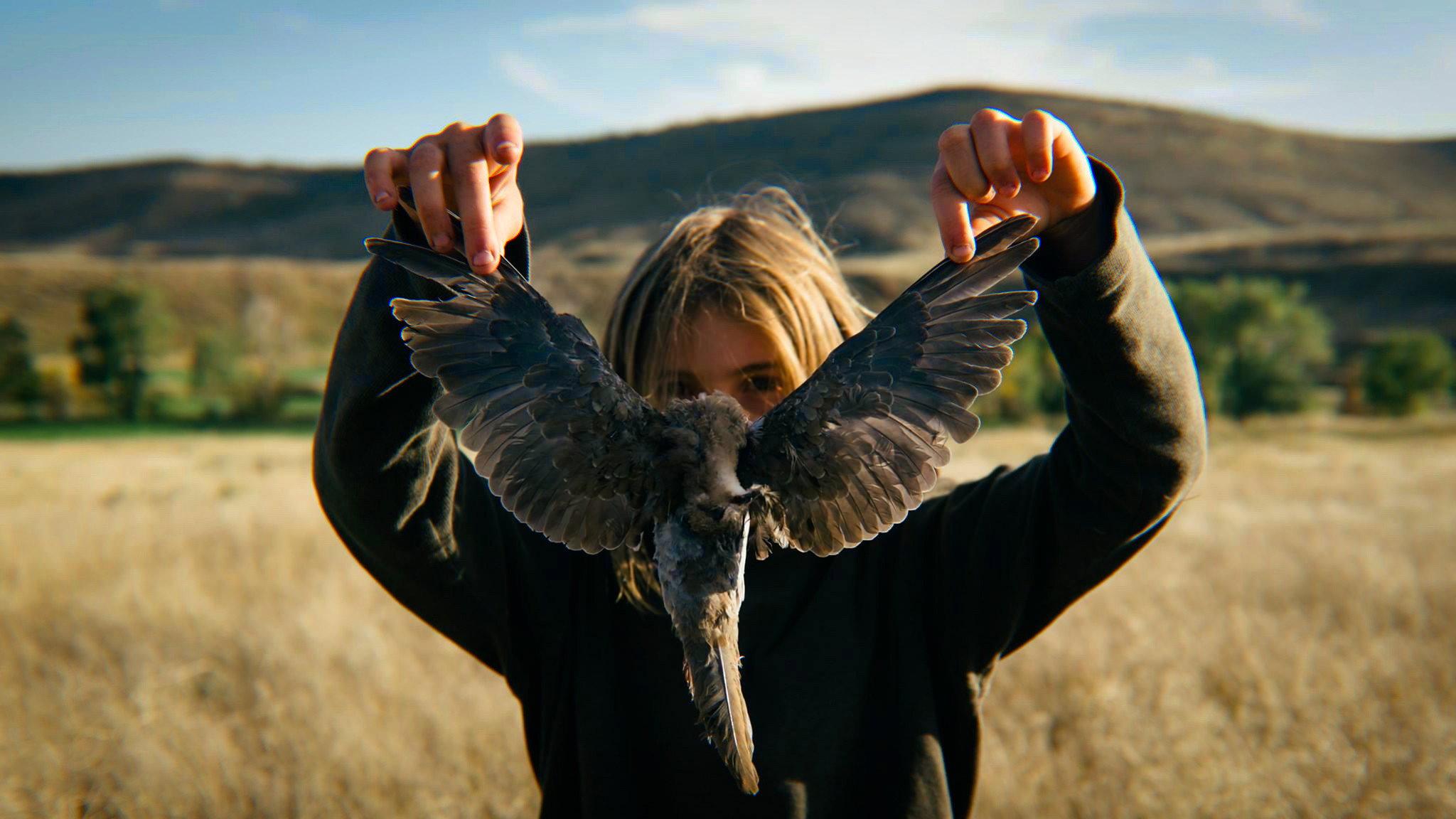 Bird Dog 2017 movie scene