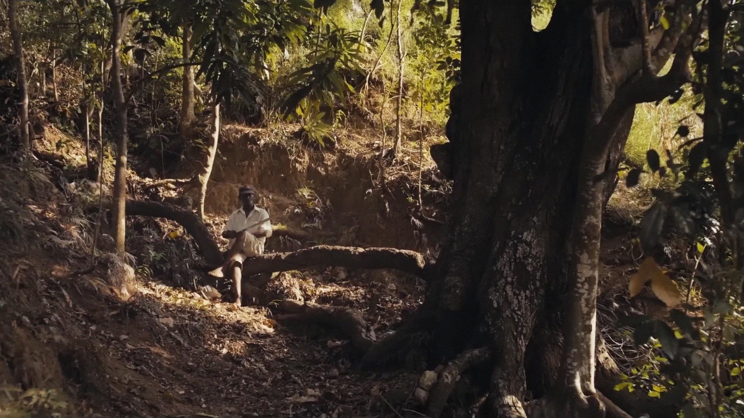 Papa Machete 2014 movie scene