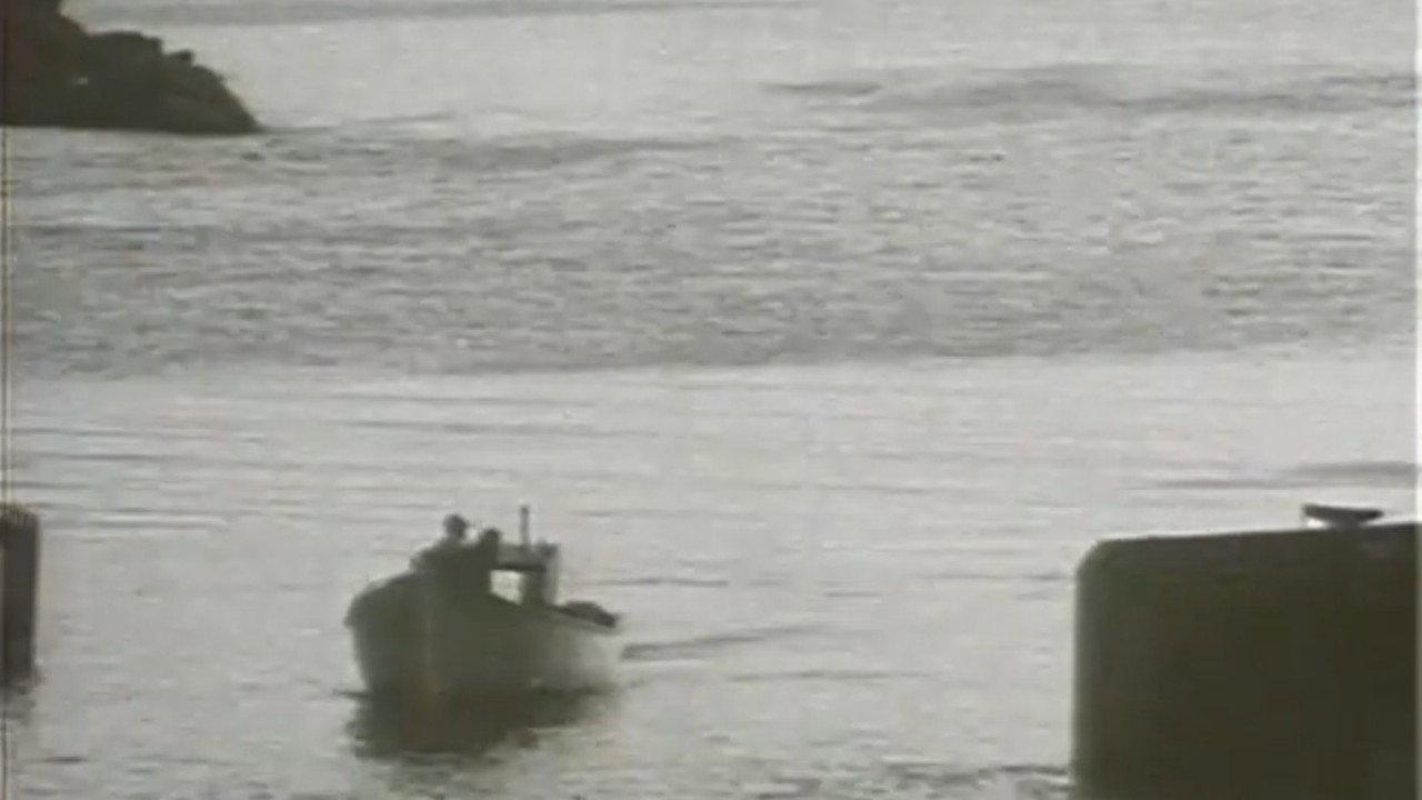 Fish or Cut Bait 1993 movie scene