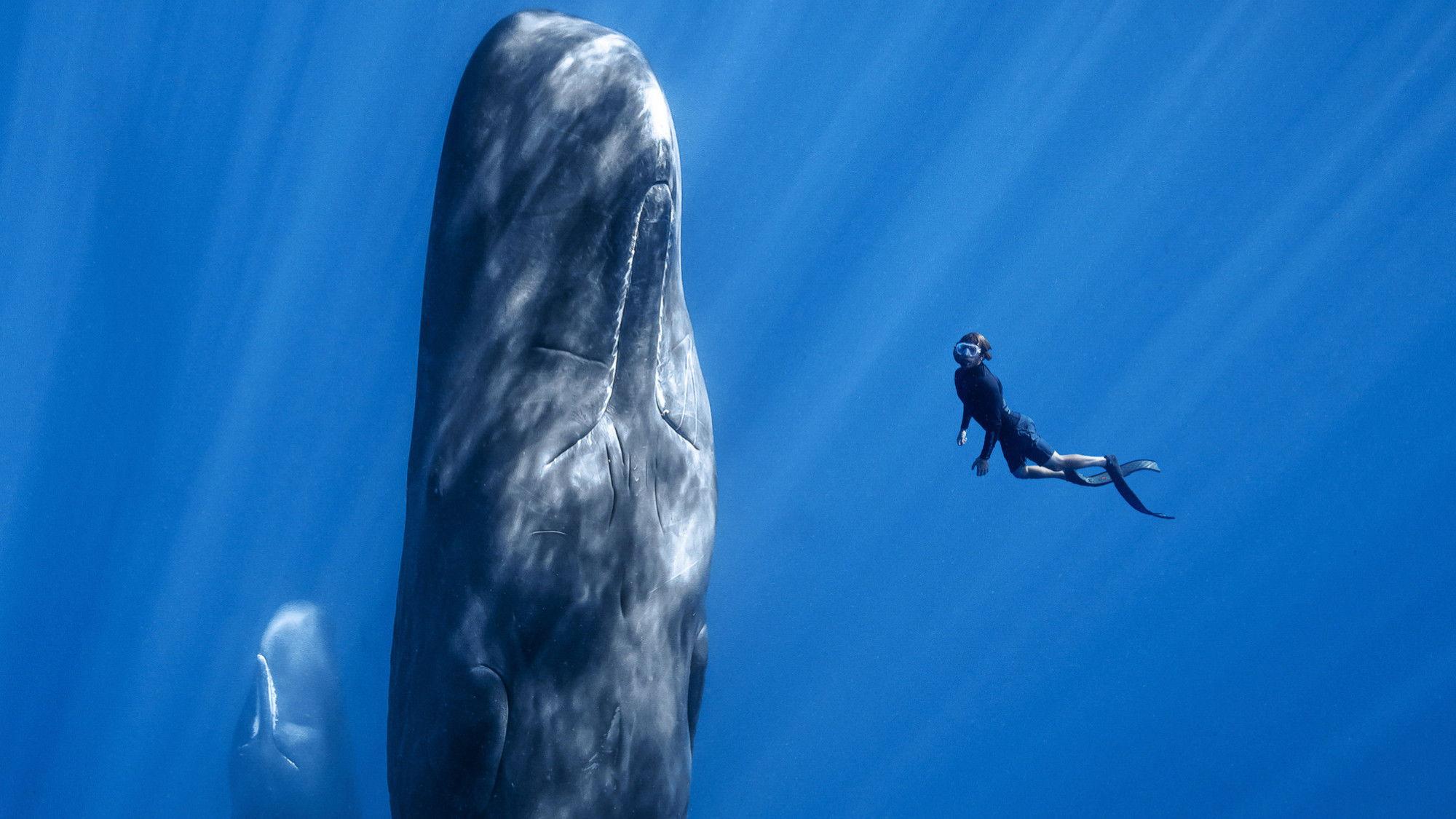 Patrick and the Whale 2024 movie scene