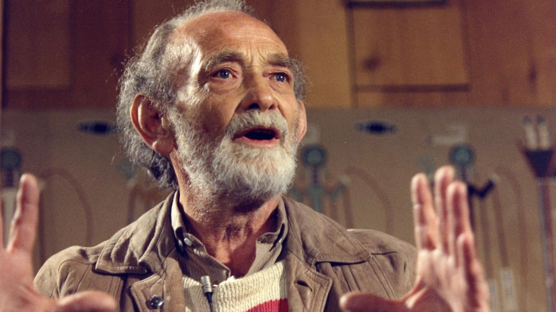 Waldo Salt: A Screenwriter's Journey 1990 movie scene