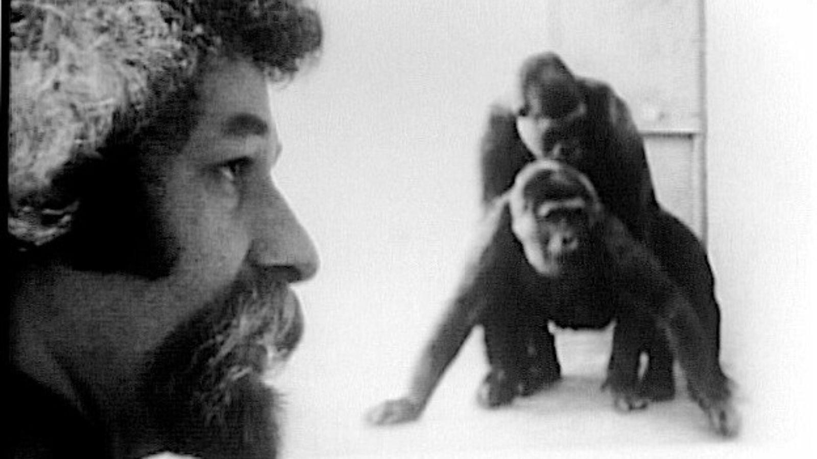 Primate 1974 movie scene