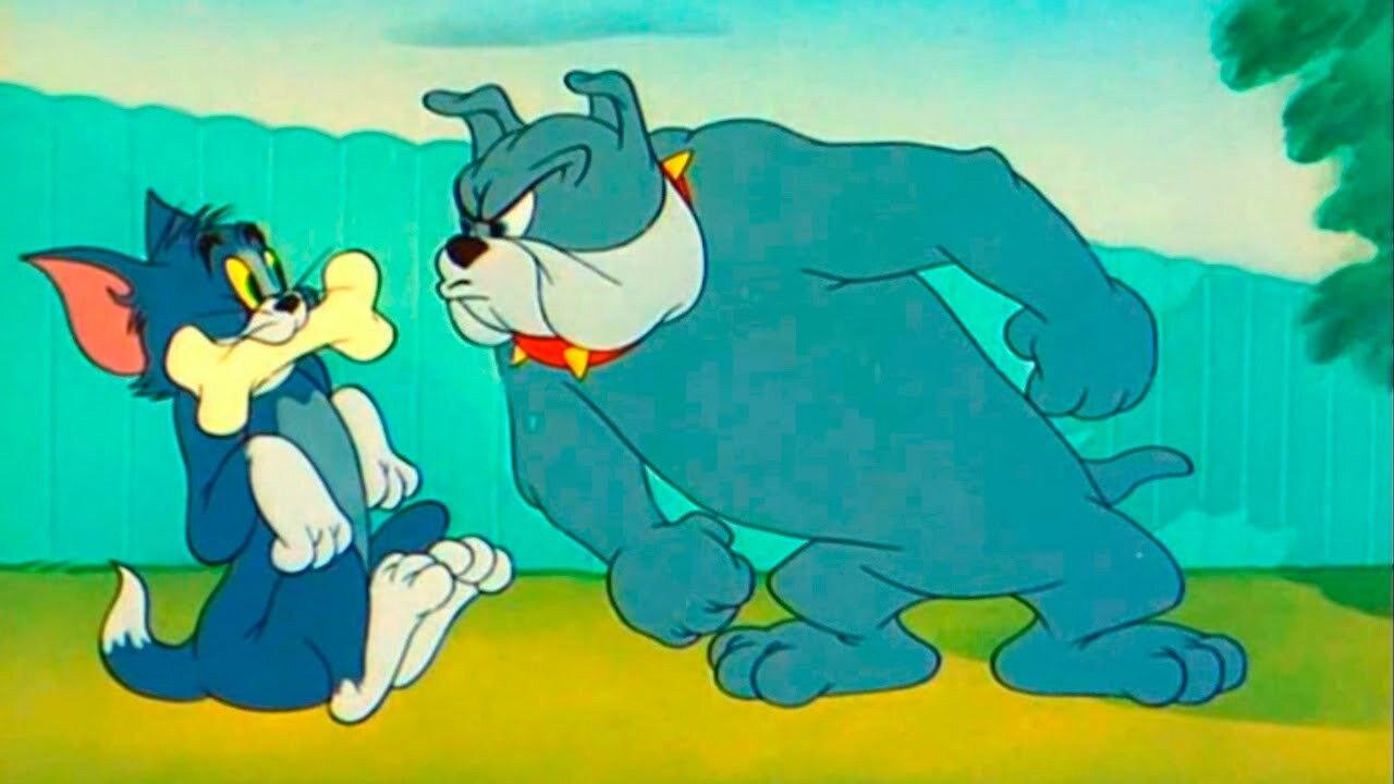 The Framed Cat 1950 movie scene
