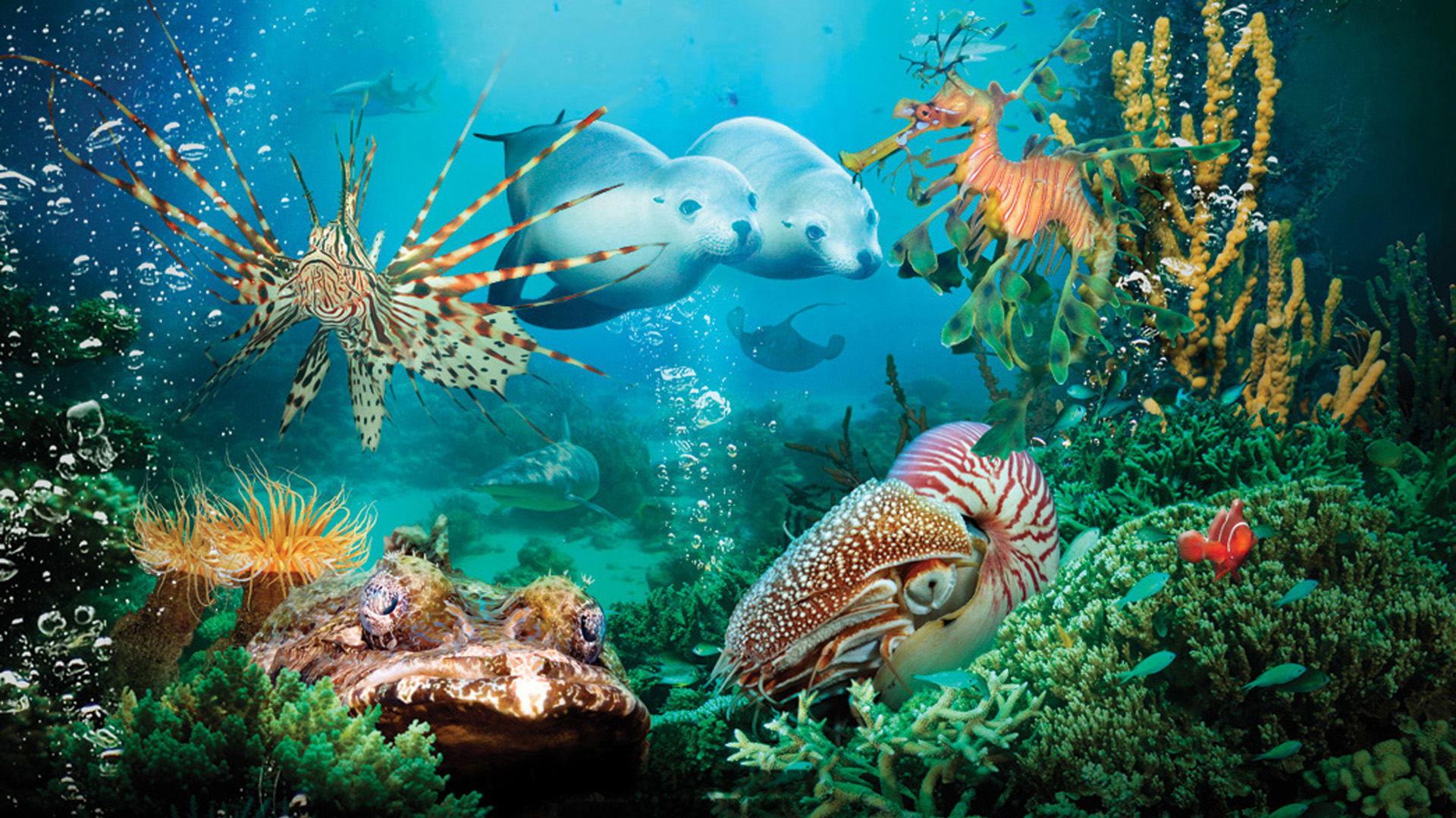 Under the Sea 3D 2009 movie scene