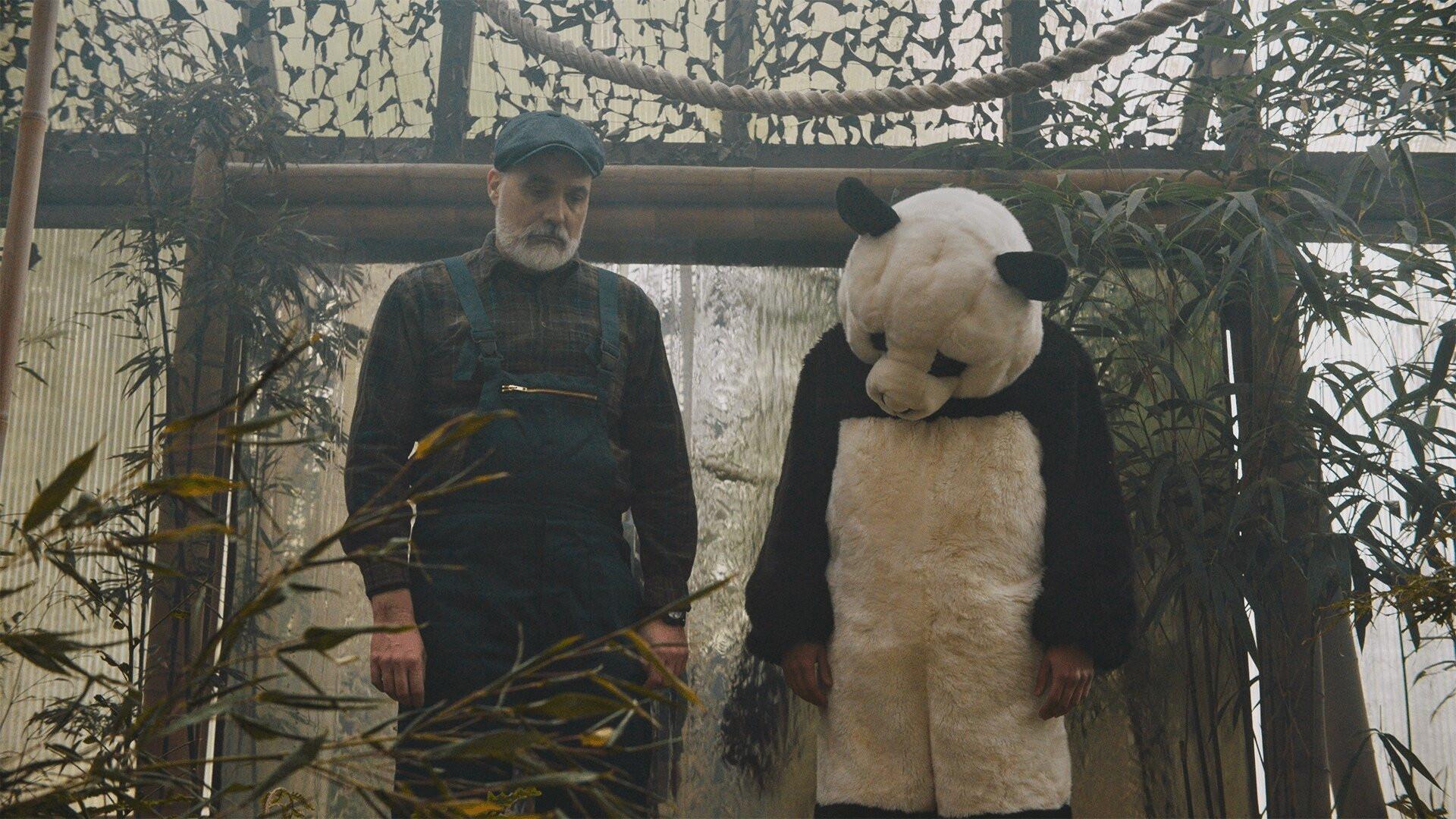Pandas in Love 2022 movie scene