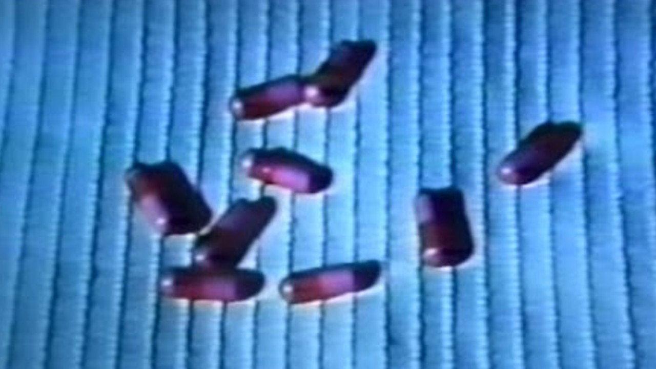 The Pill Poppers 1970 movie scene