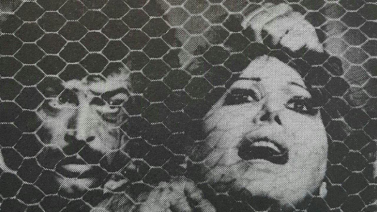 The Red-Haired 1974 movie scene