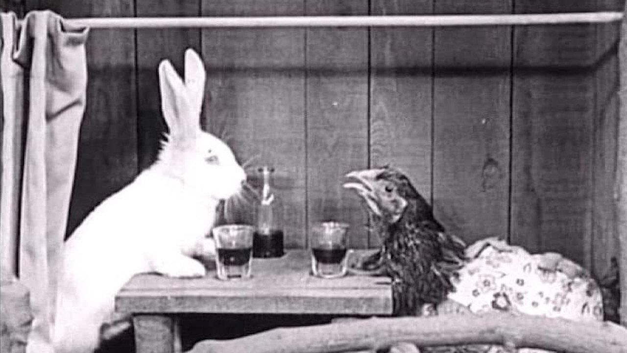 North of 50-50 1924 movie scene