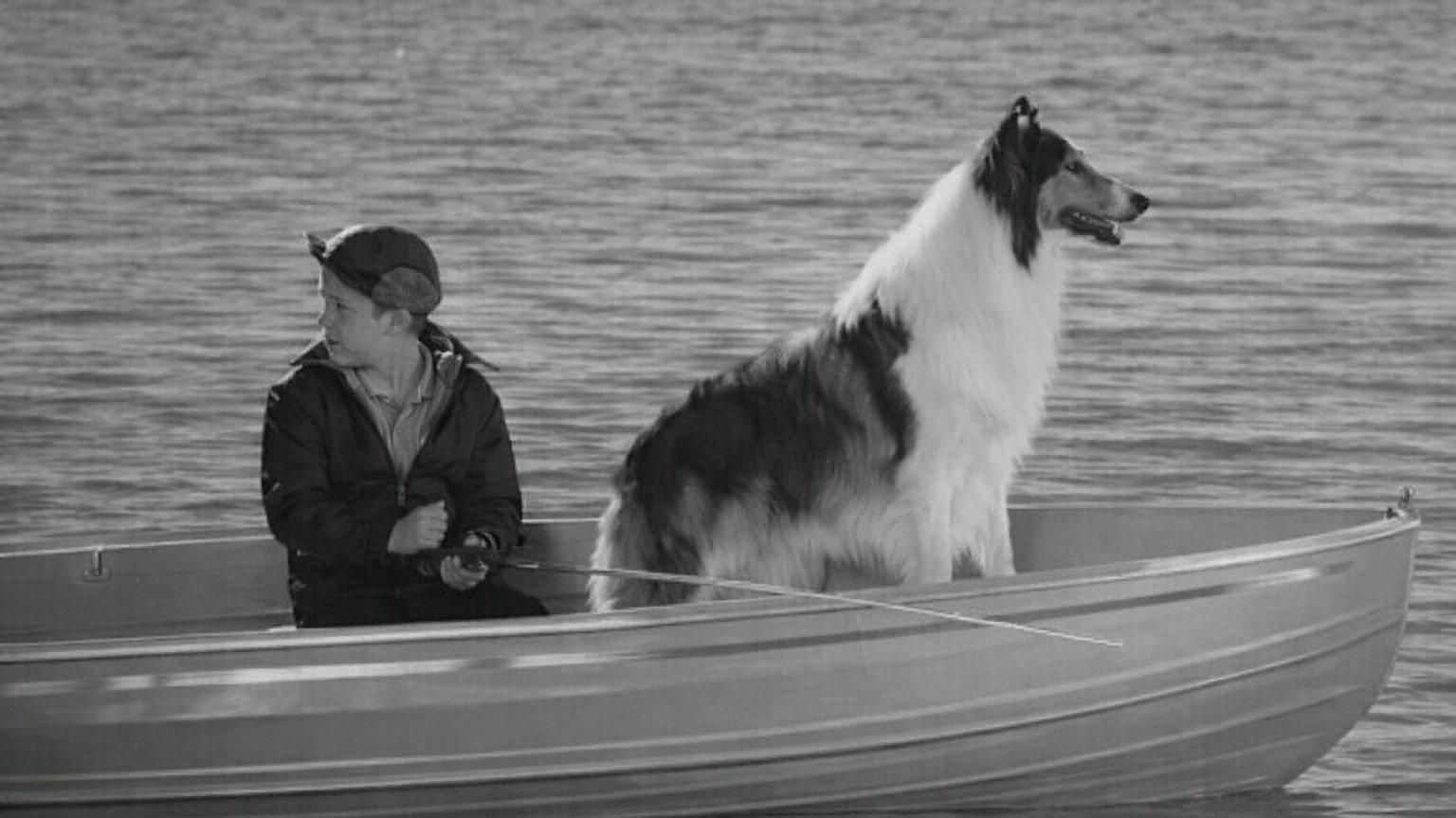 Lassie: Disappearance 1964 movie scene