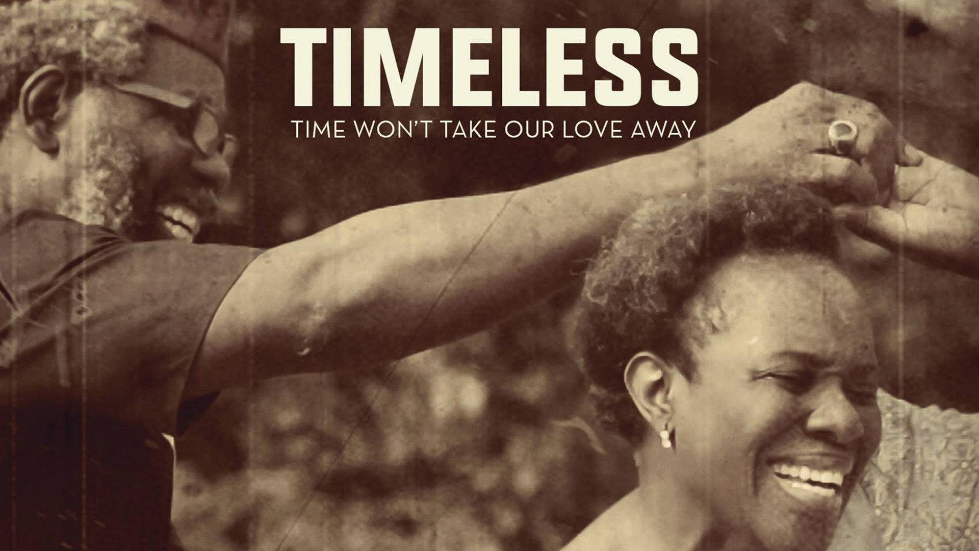 Timeless 2017 movie scene