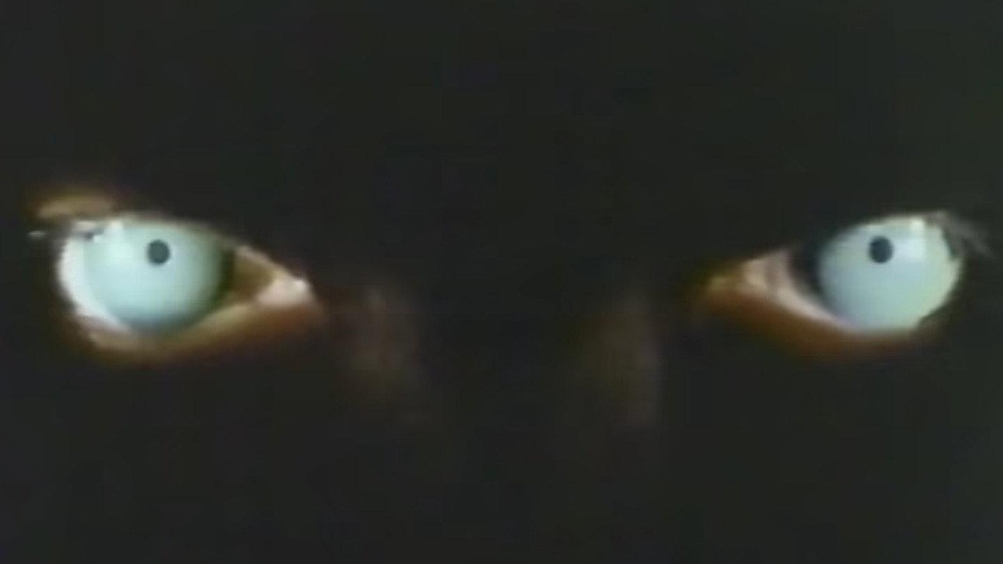 The Terrifying Man-eating Shark Woman 1980 movie scene