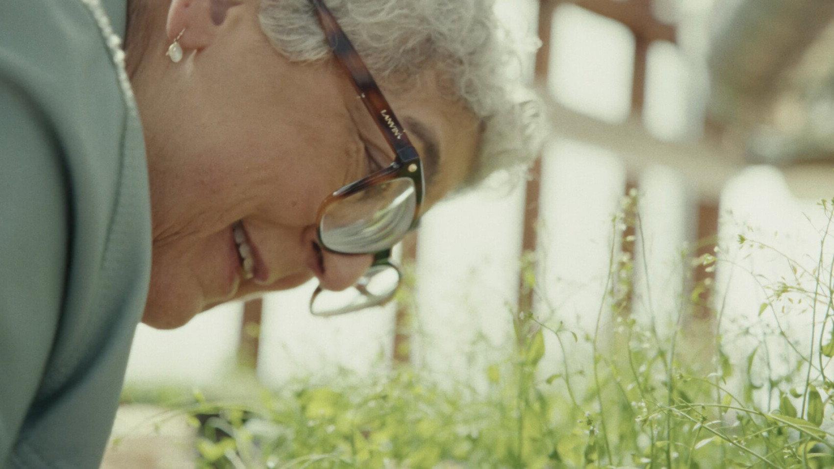 Plant Life 2026 movie scene