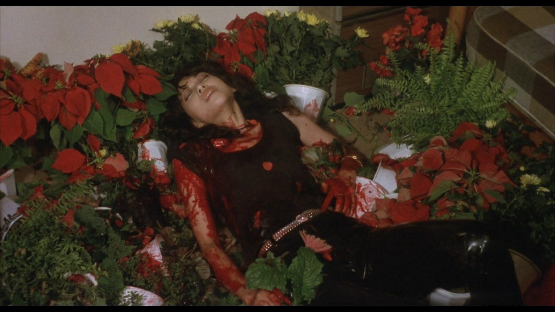 The Lonely Hearts Club Band in September 1982 movie scene