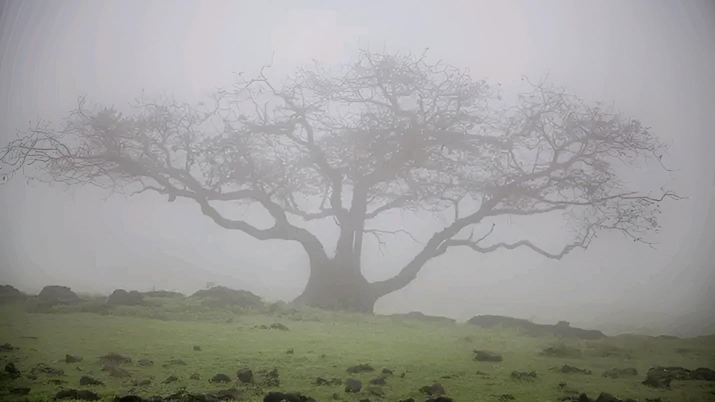 Mani Petha Brath Nest 2012 movie scene