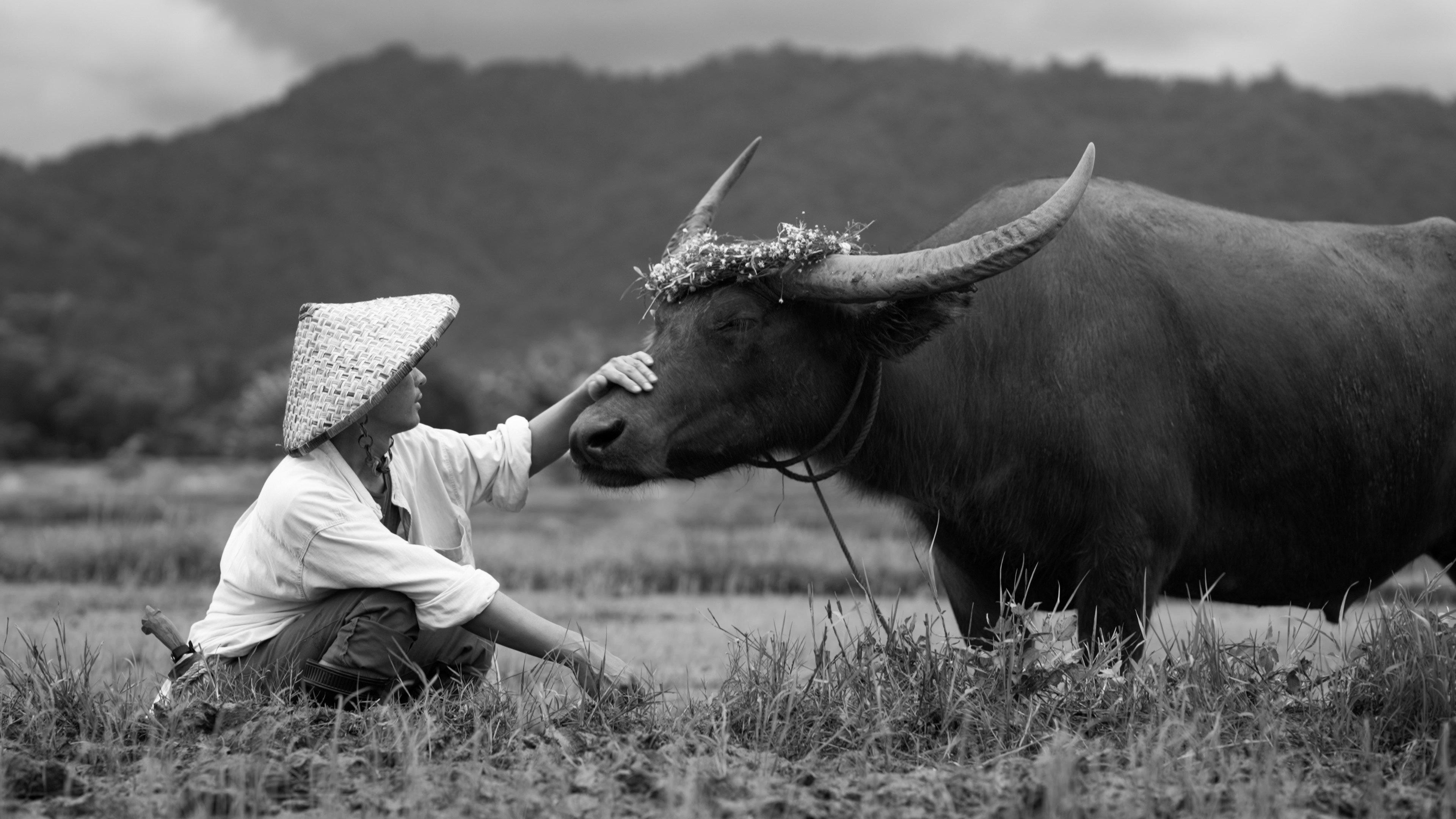 Animal Lovers 2023 movie scene