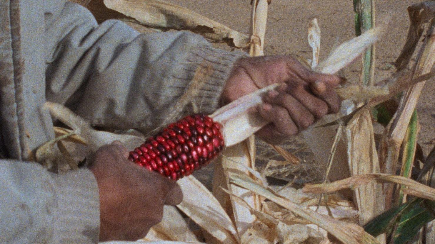 Techqua Ikachi, Land – My Life 1989 movie scene