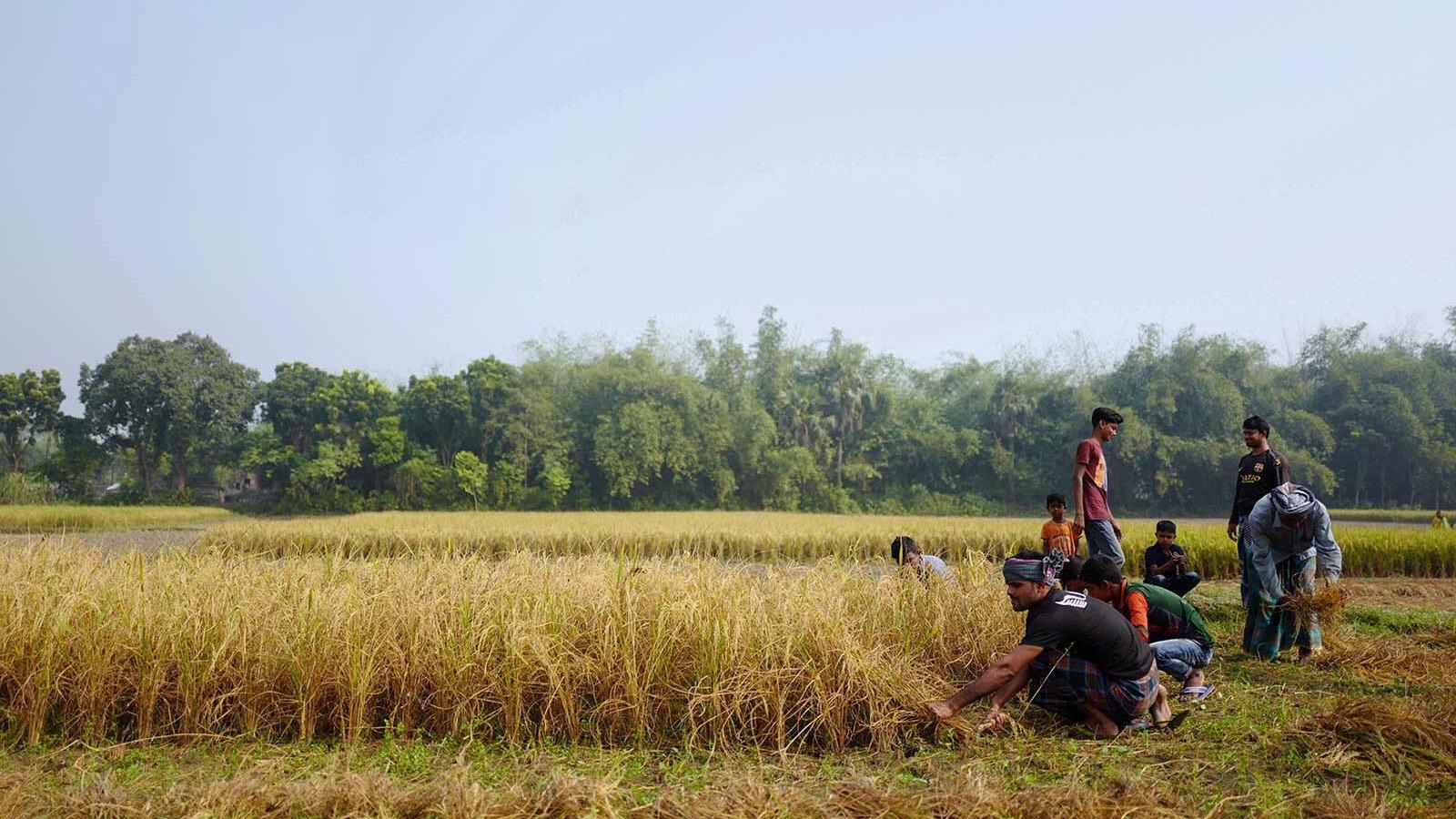 I Dream of Singapore 2019 movie scene