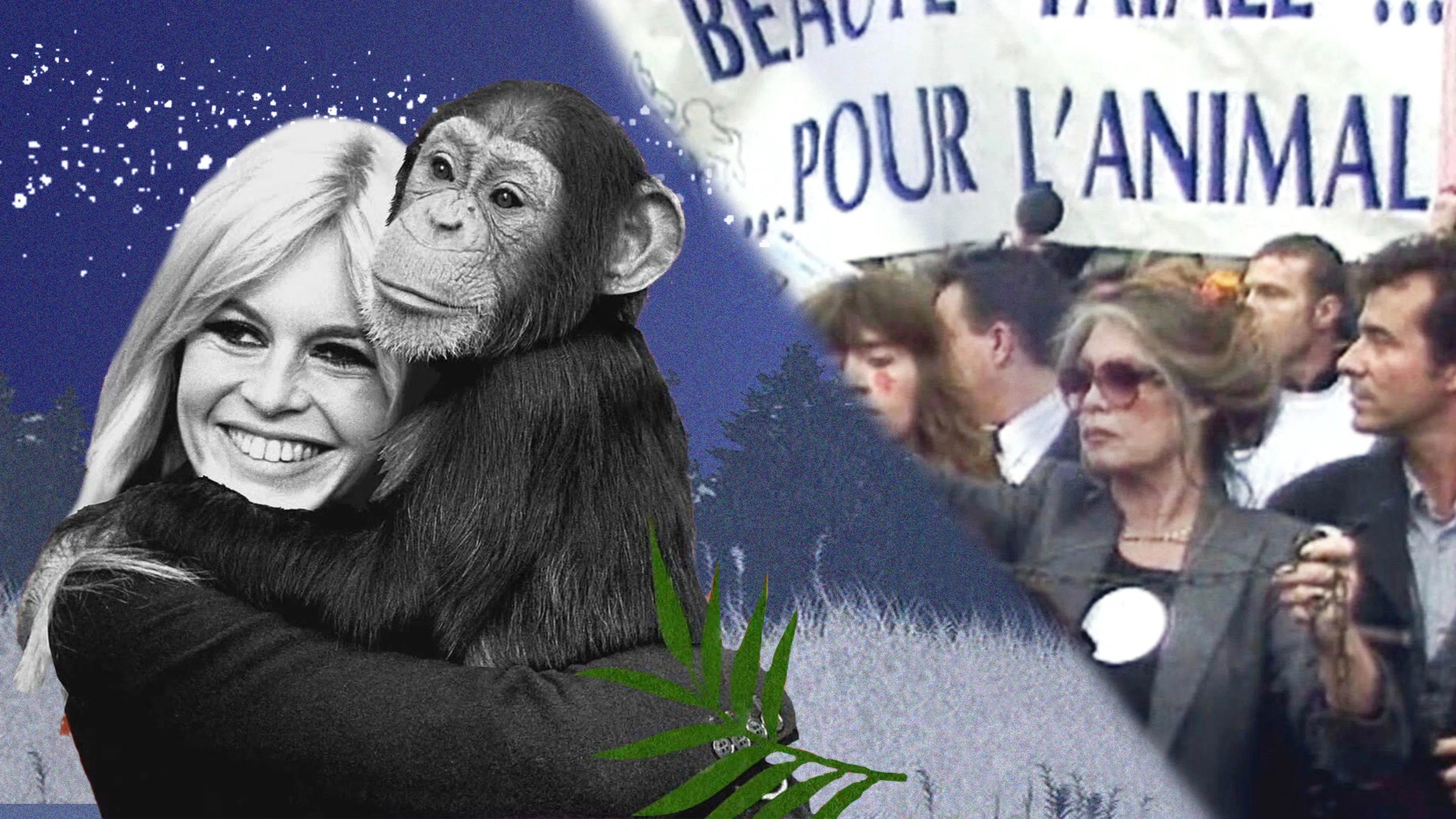 Brigitte Bardot, rebel with a cause 2019 movie scene