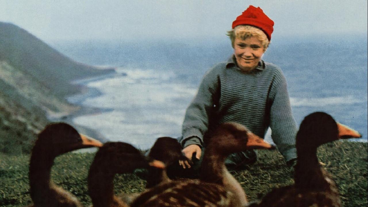 Wonderful Adventures of Nils 1962 movie scene