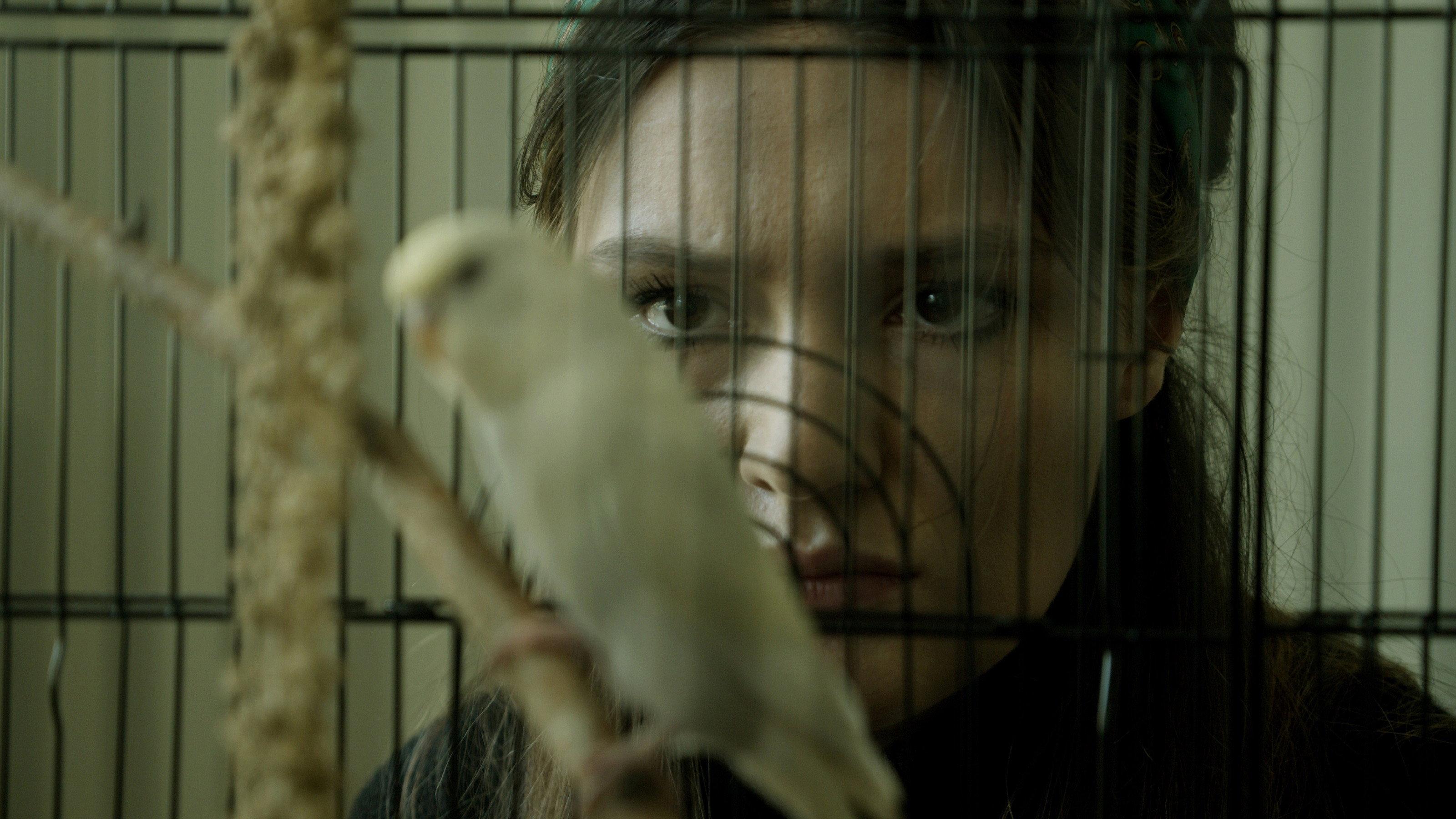 Winged and Imprint Dark 2022 movie scene