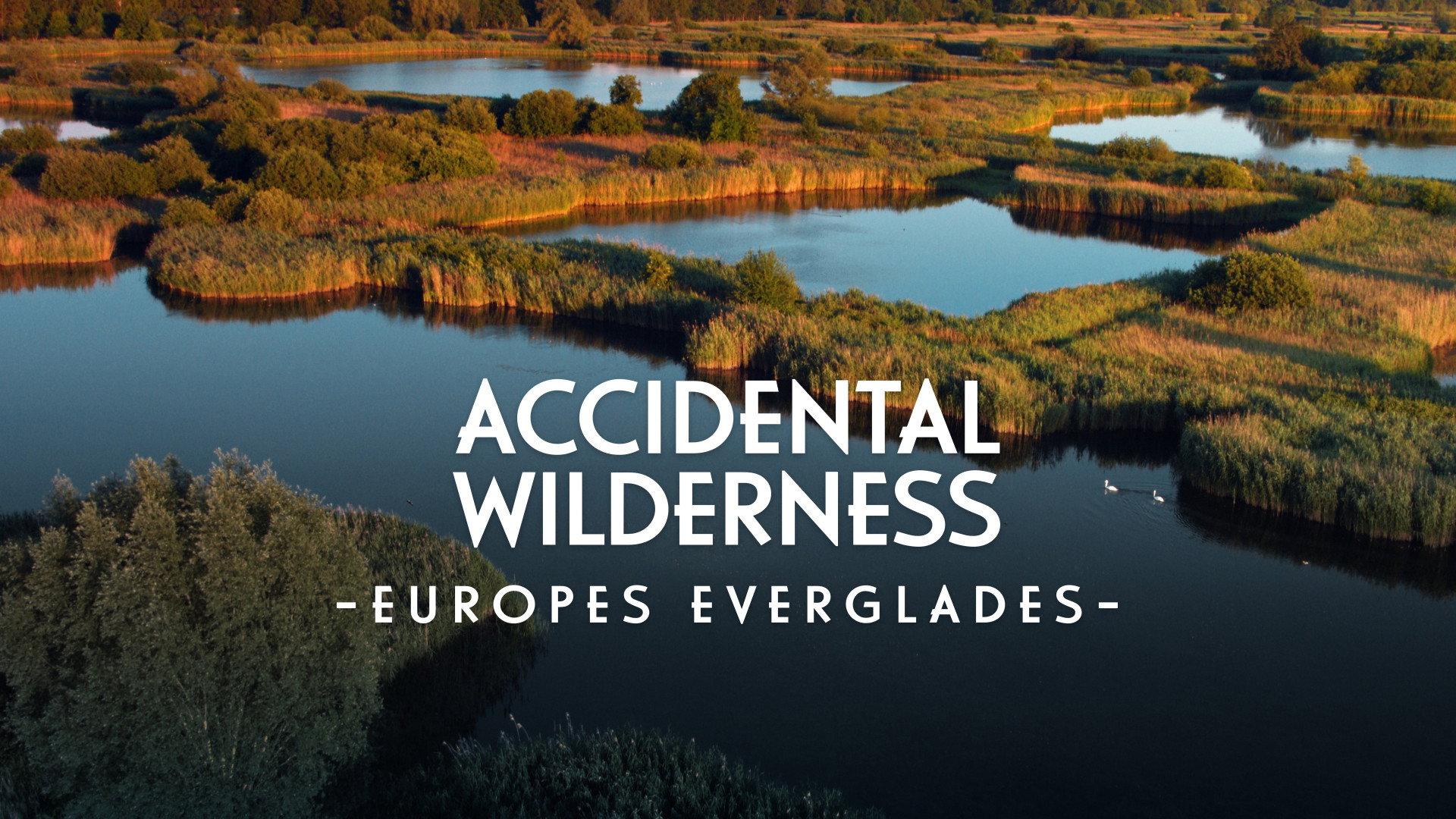 The Accidental Wilderness: Europe's Everglades 2021 movie scene