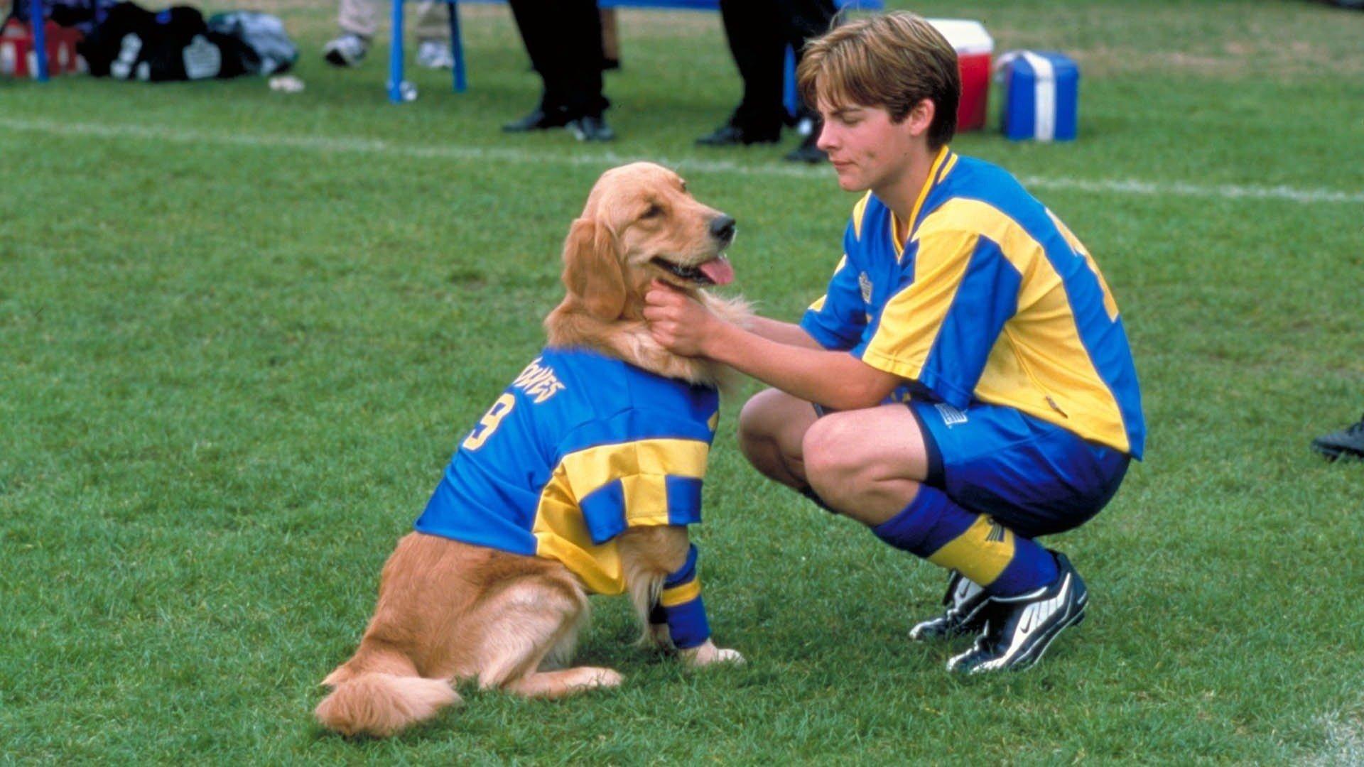 Air Bud: World Pup 2001 movie scene
