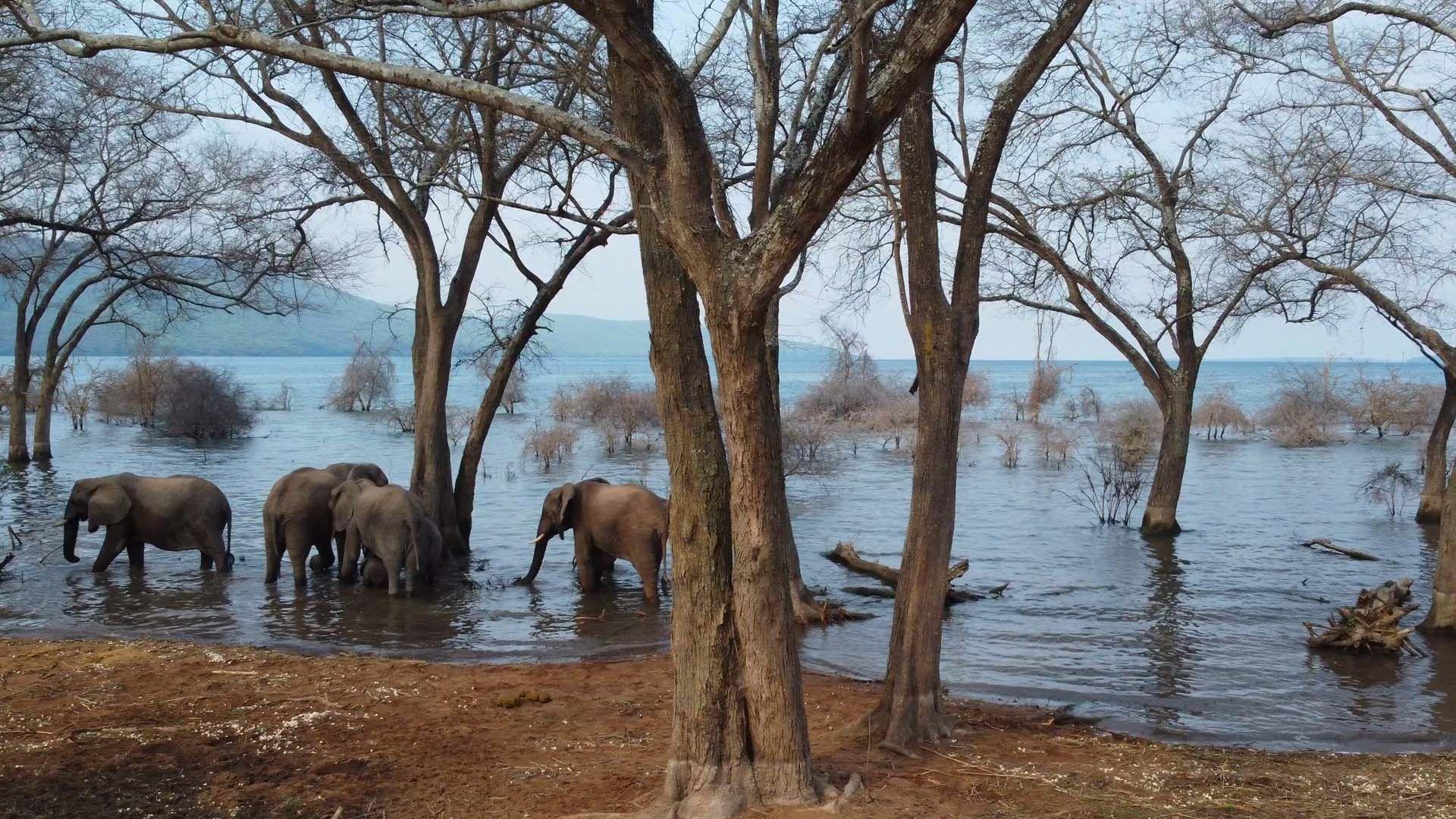 Le lac Tanganyika, la source de vie de l'Afrique 2020 movie scene