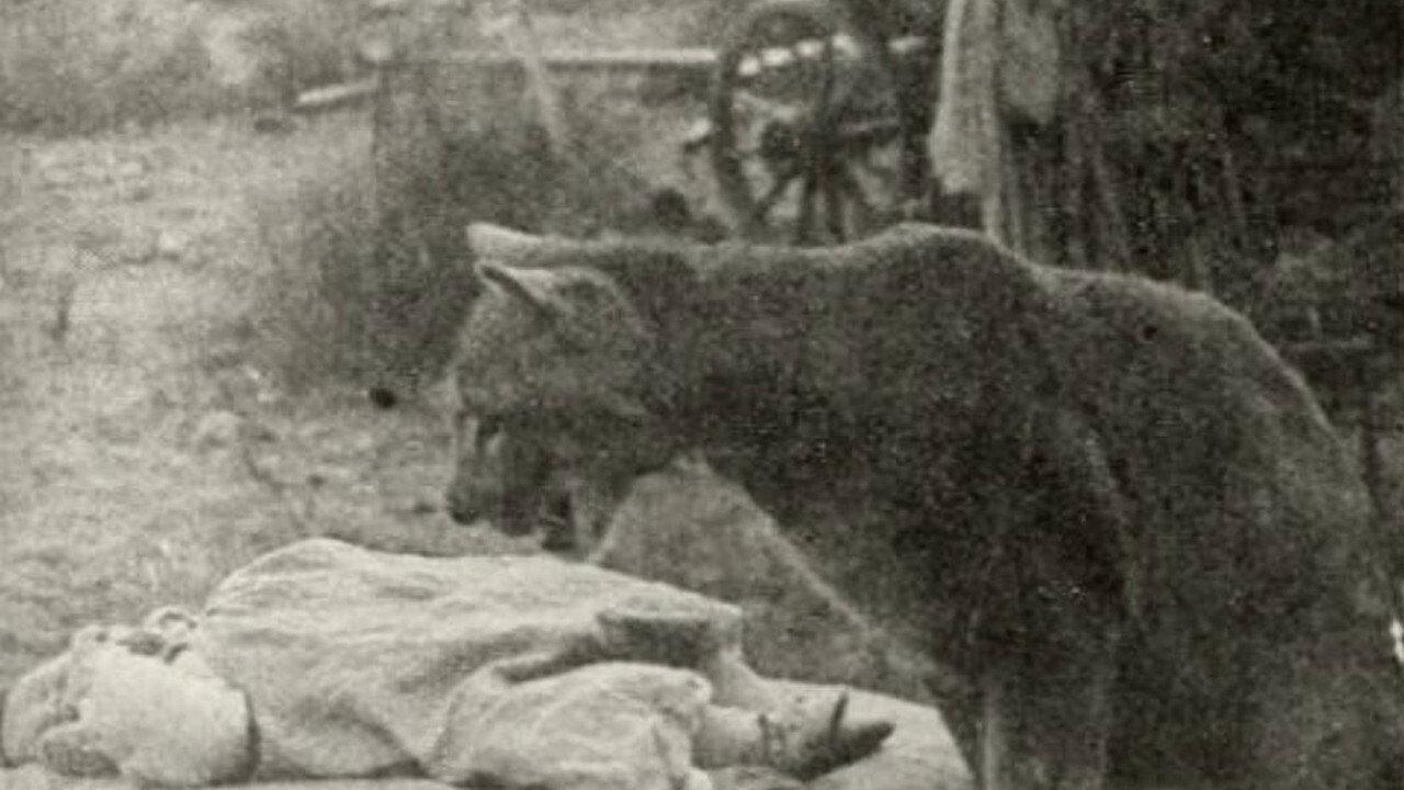 The Sheriff's Baby 1913 movie scene
