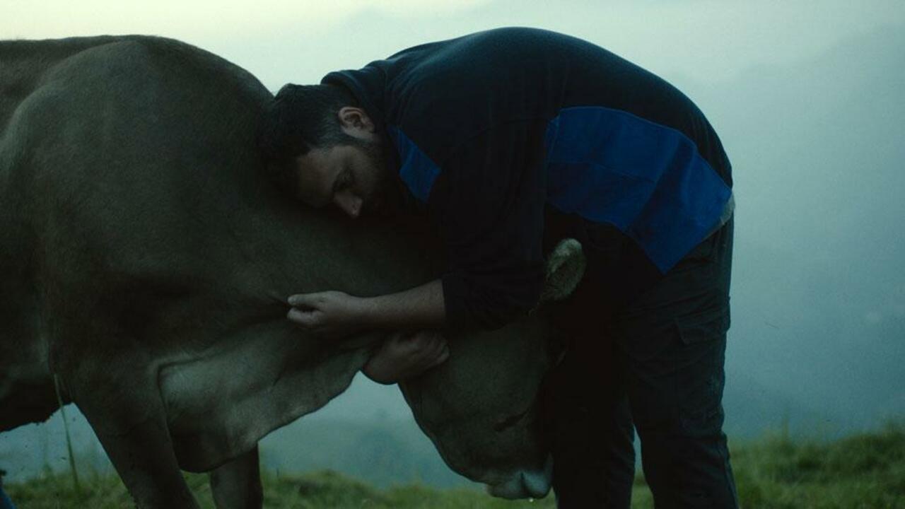 Lessons of Love 2019 movie scene