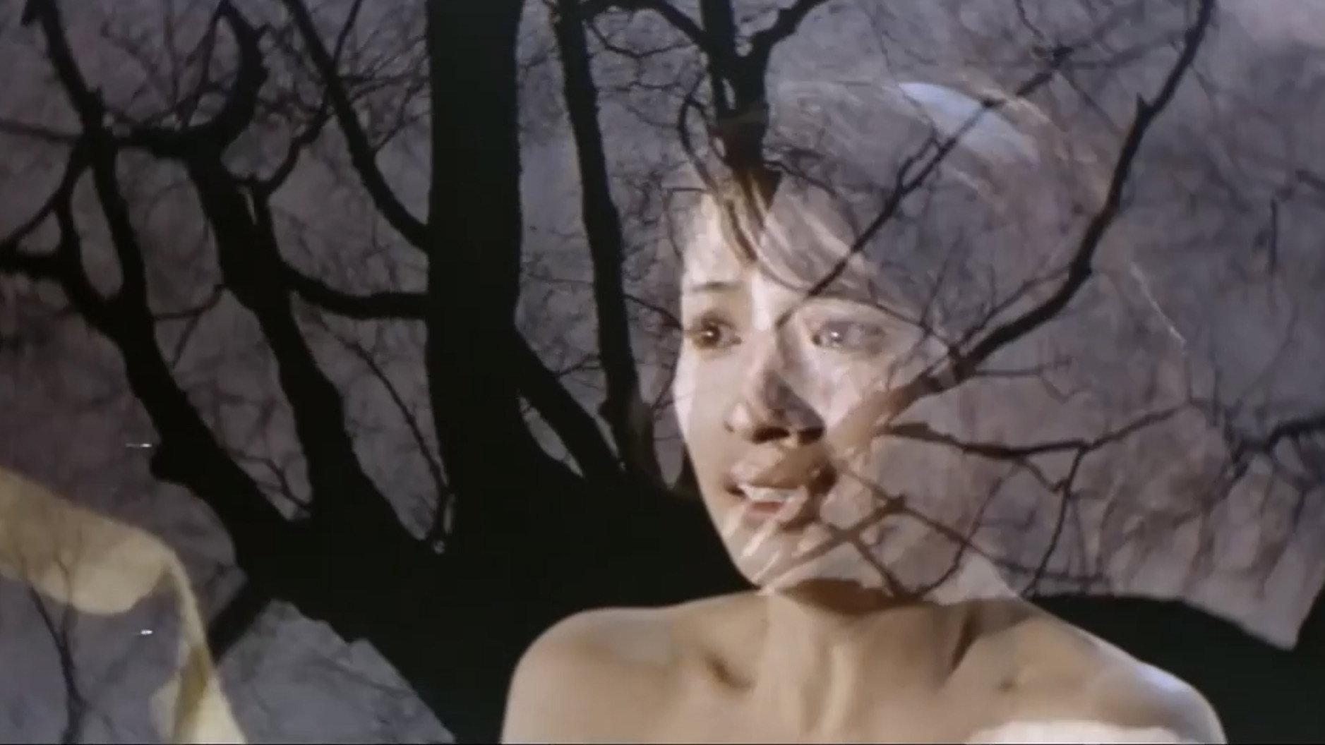 Night Butterflies 1971 movie scene