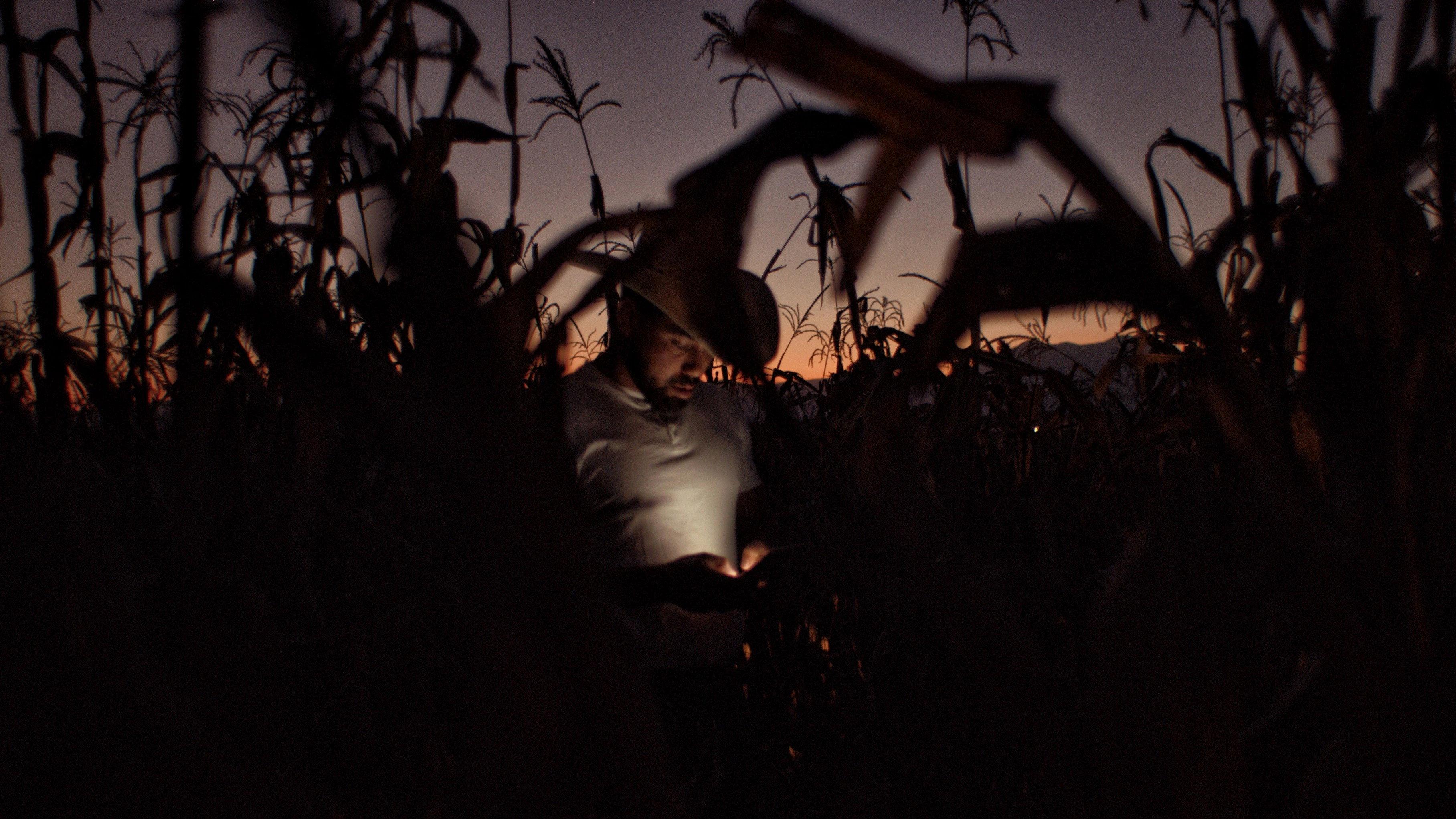 Jaripeo 2026 movie scene