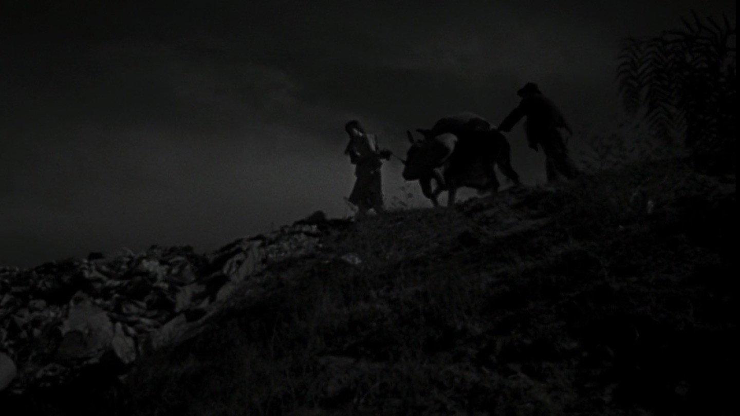 The Young and the Damned 1950 movie scene