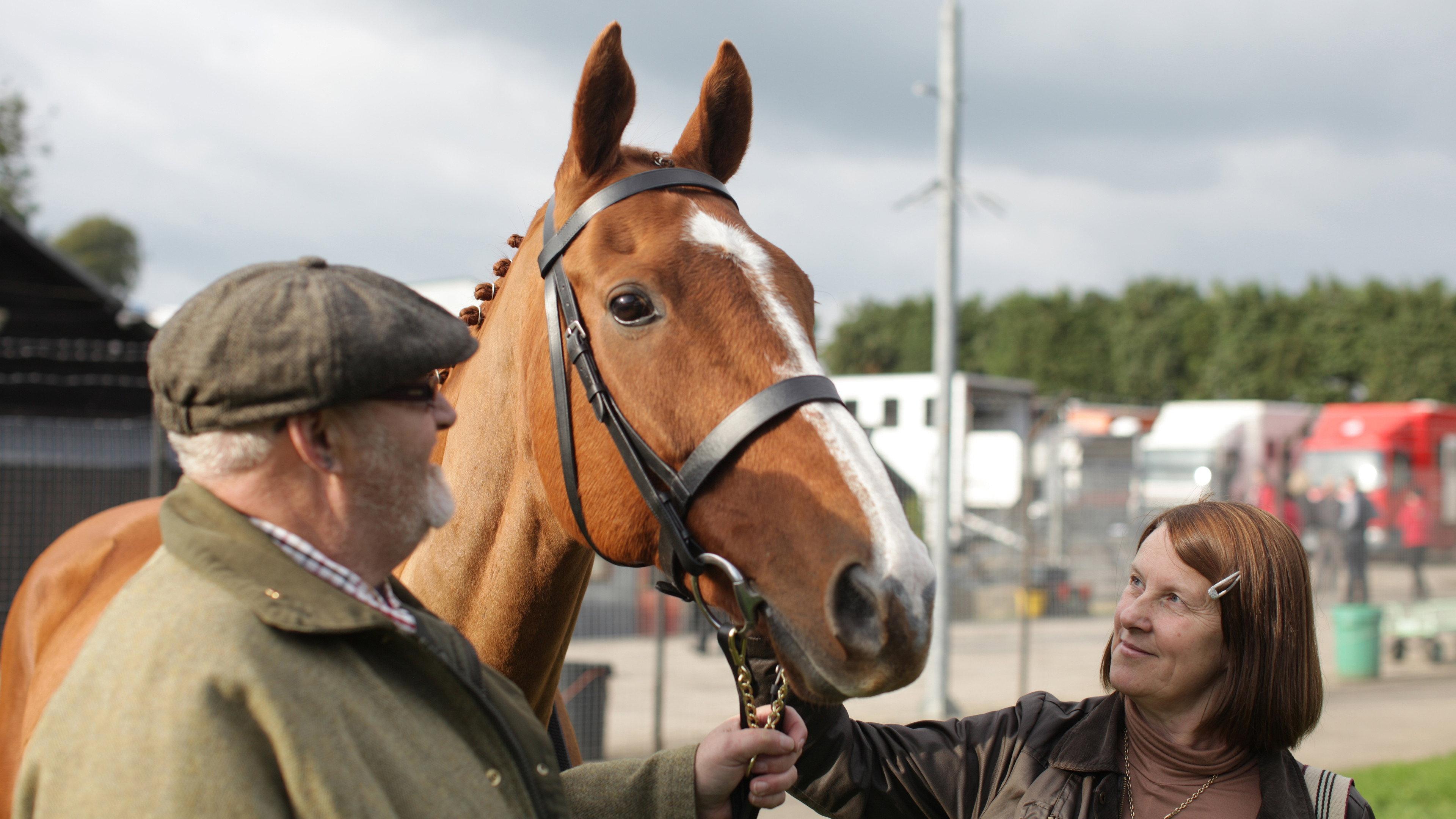 Dark Horse 2015 movie scene