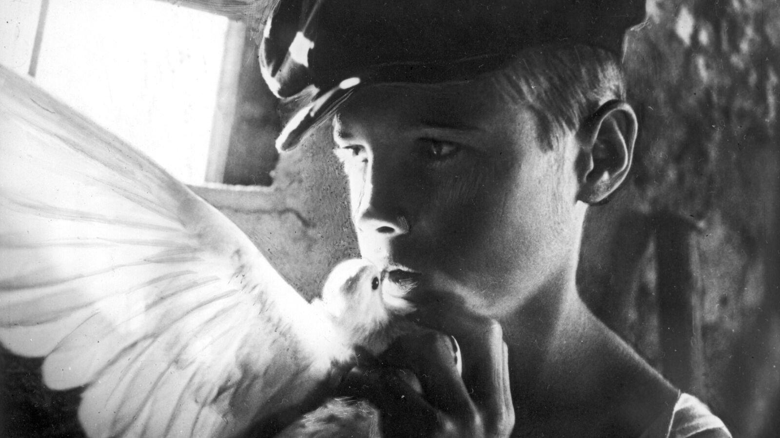 The Stray White and the Speckled 1986 movie scene
